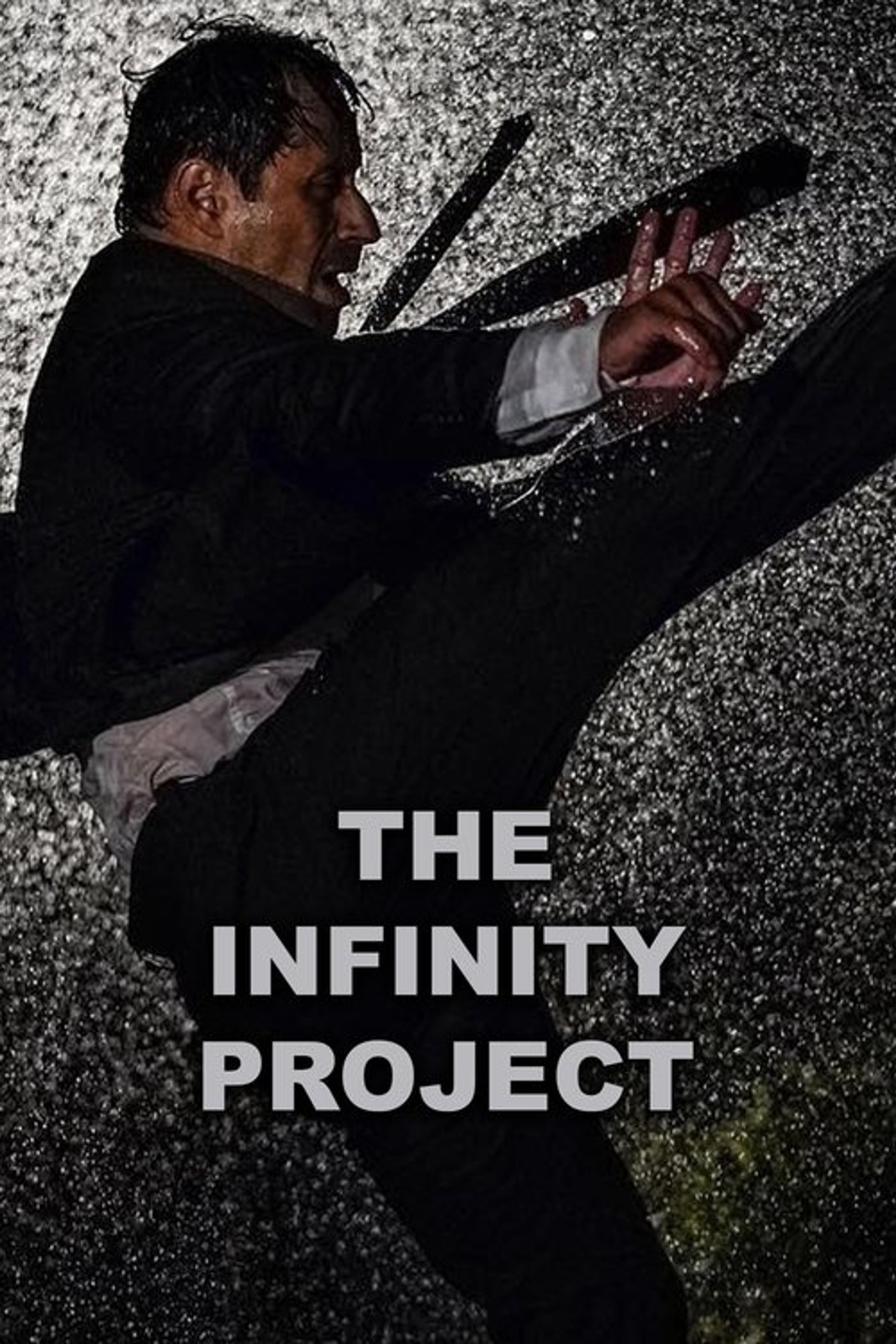 Poster image of The Infinity Project