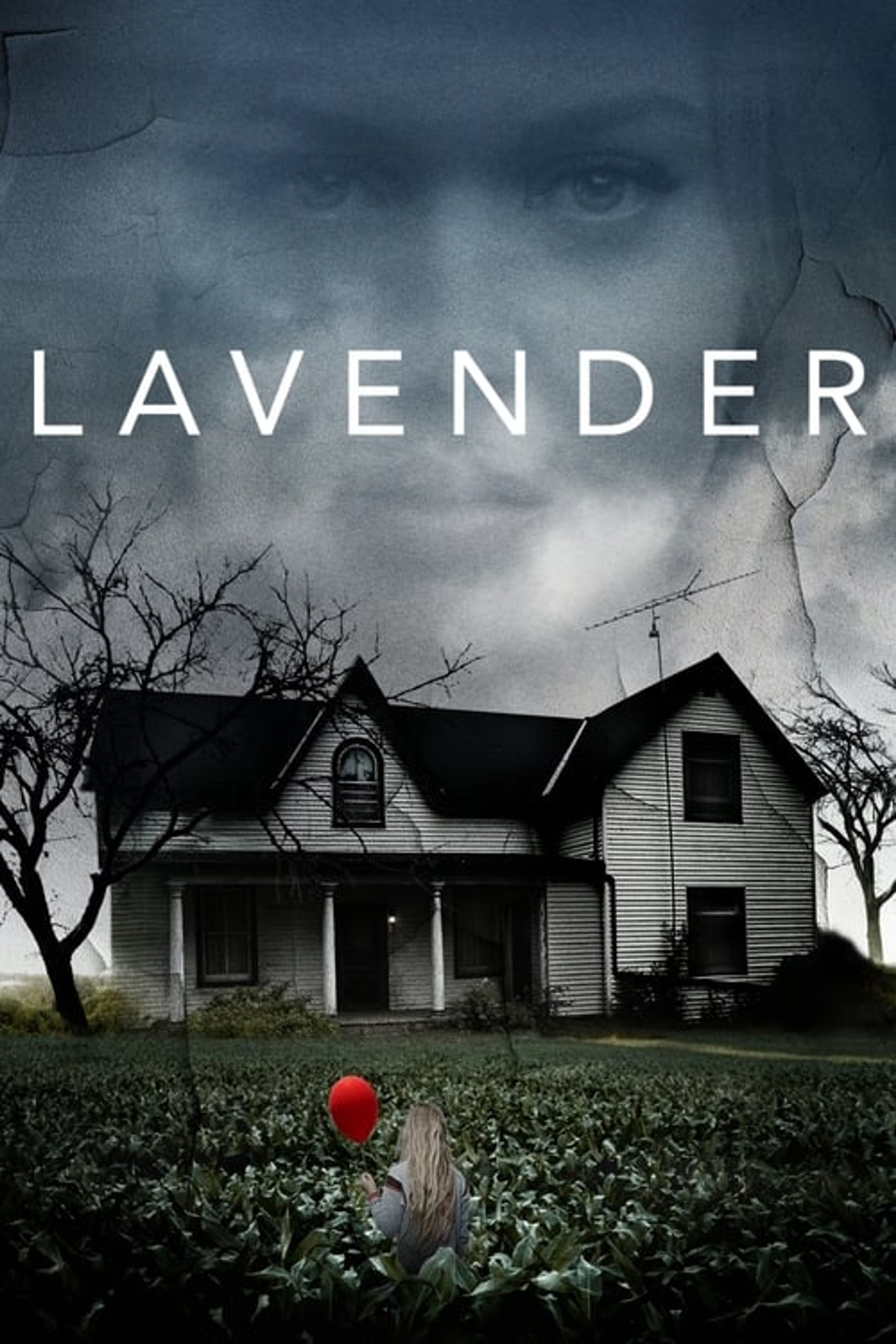 Poster image of Lavender