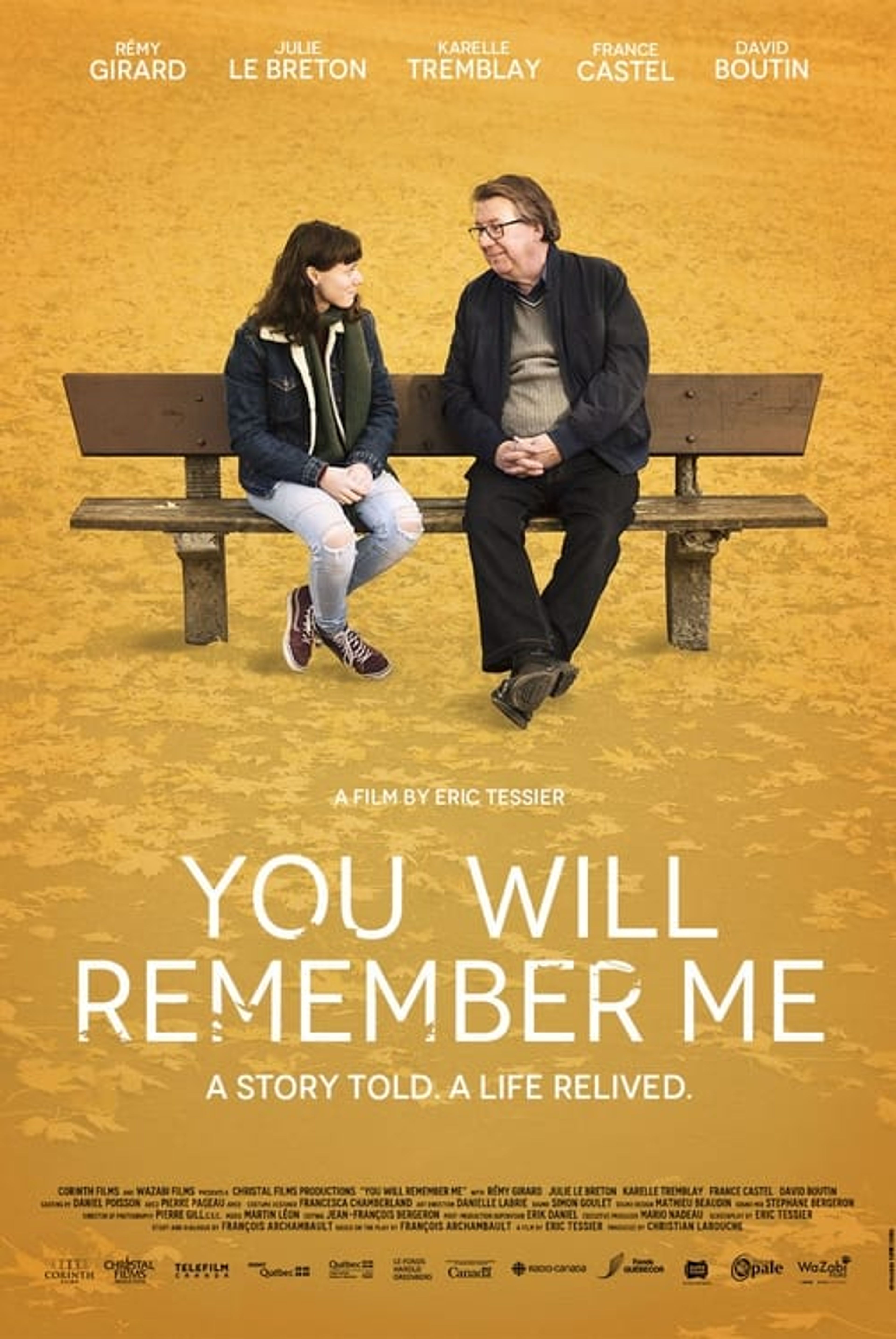 Poster image of You Will Remember Me