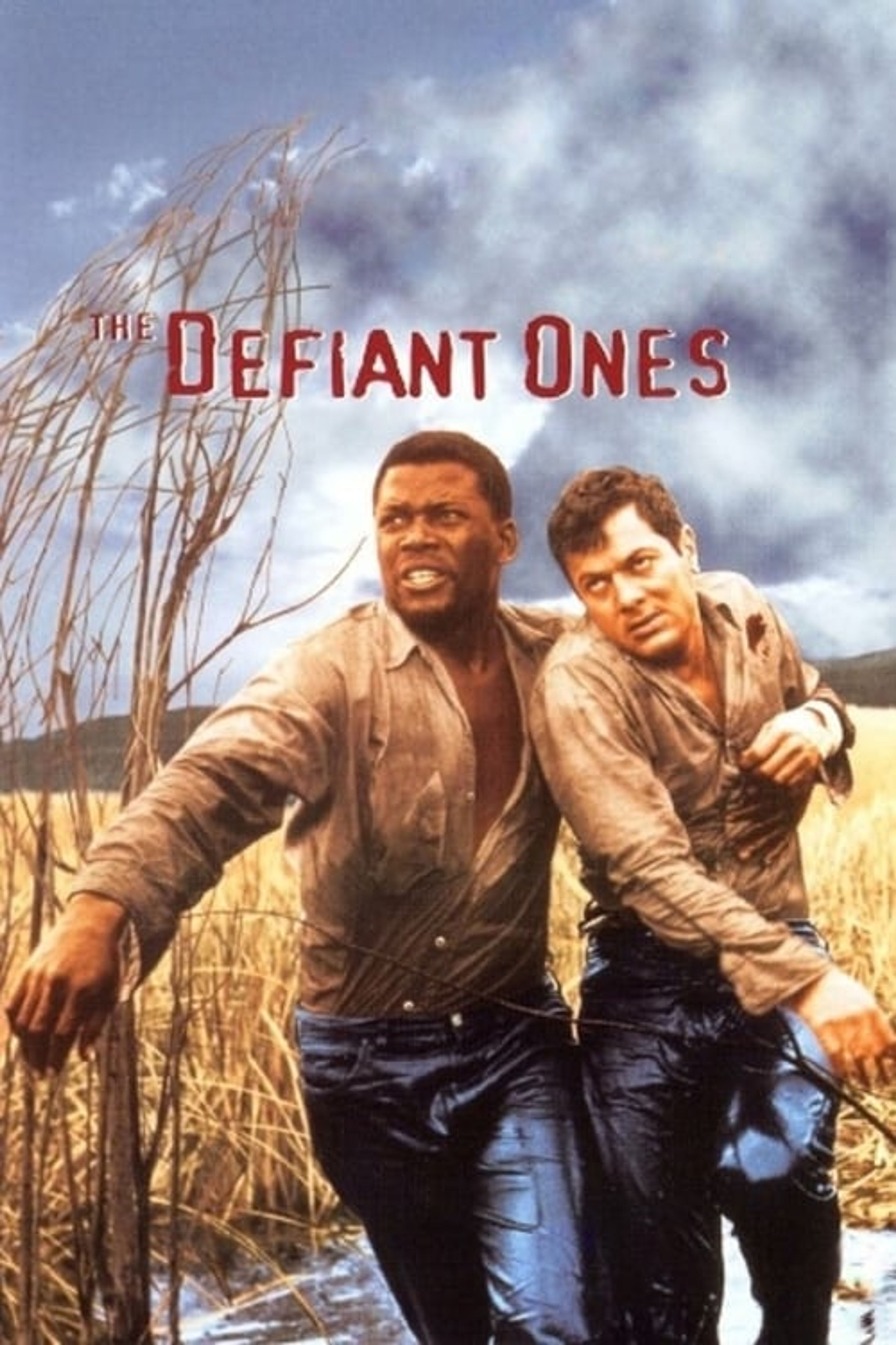 Poster image of The Defiant Ones