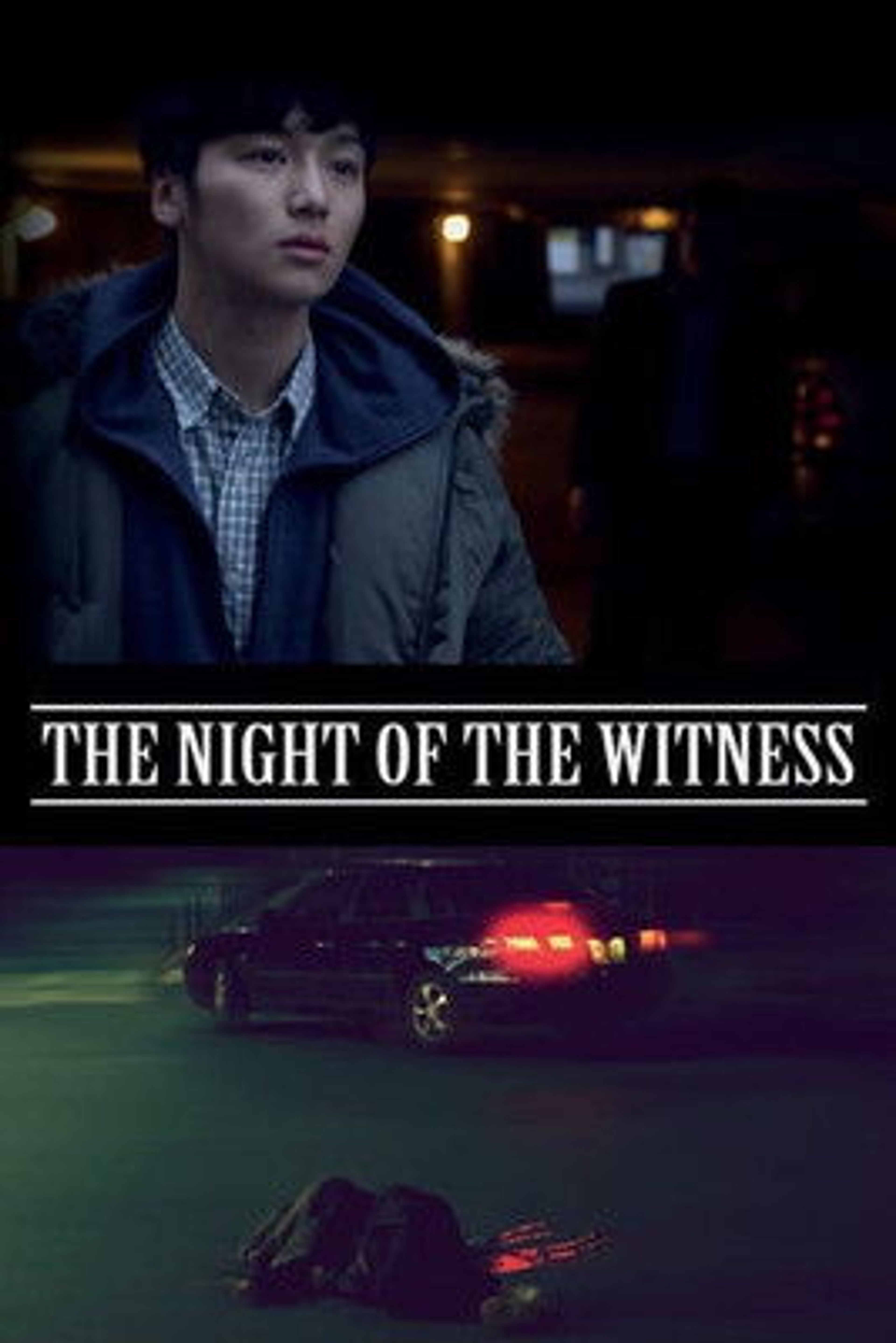 Poster image of The Night of the Witness