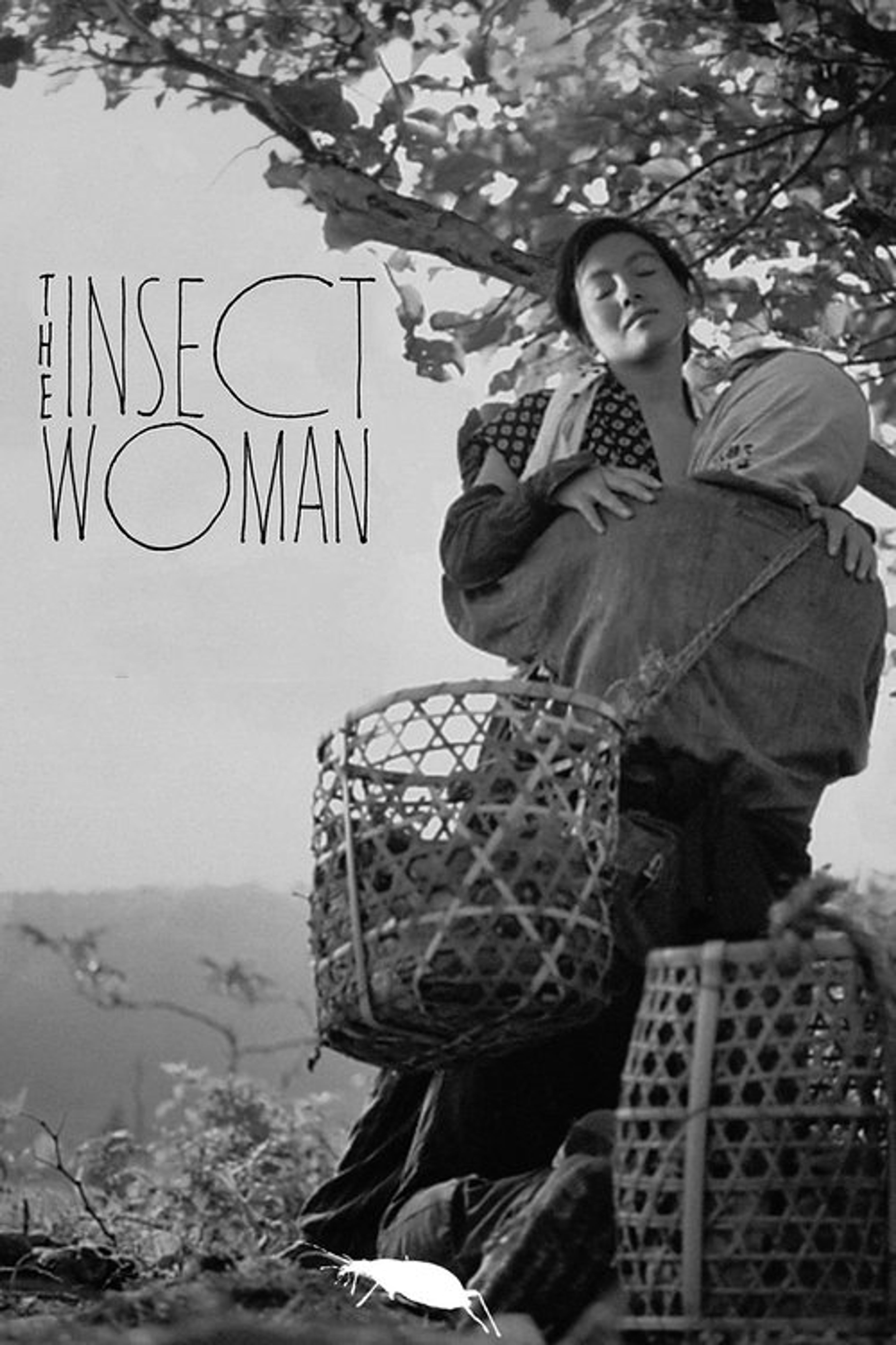 Poster image of The Insect Woman