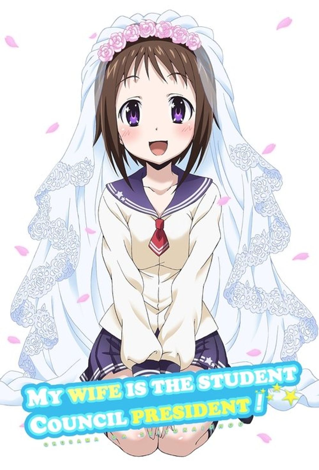Poster image of My Wife is the Student Council President