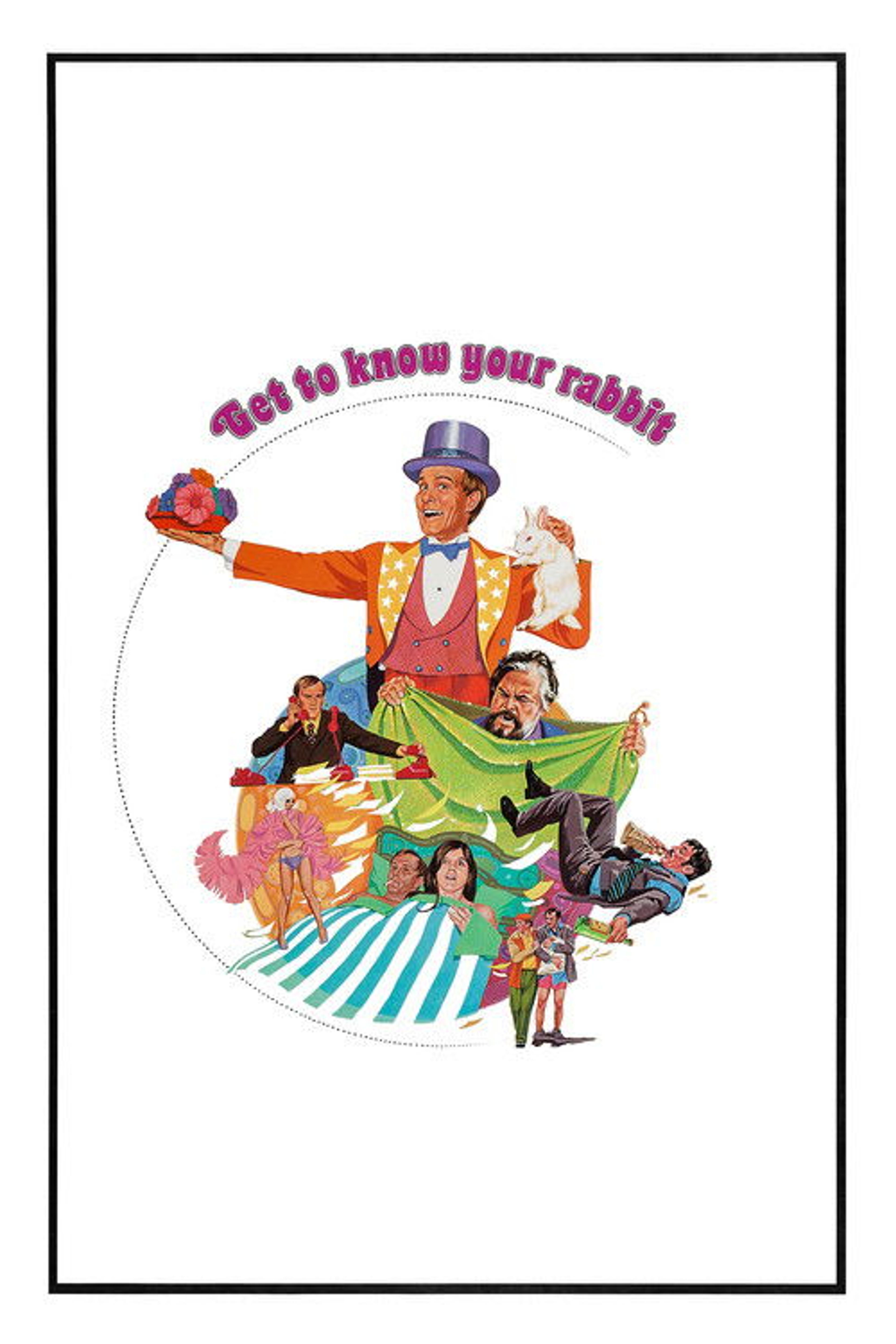 Poster image of Get to Know Your Rabbit