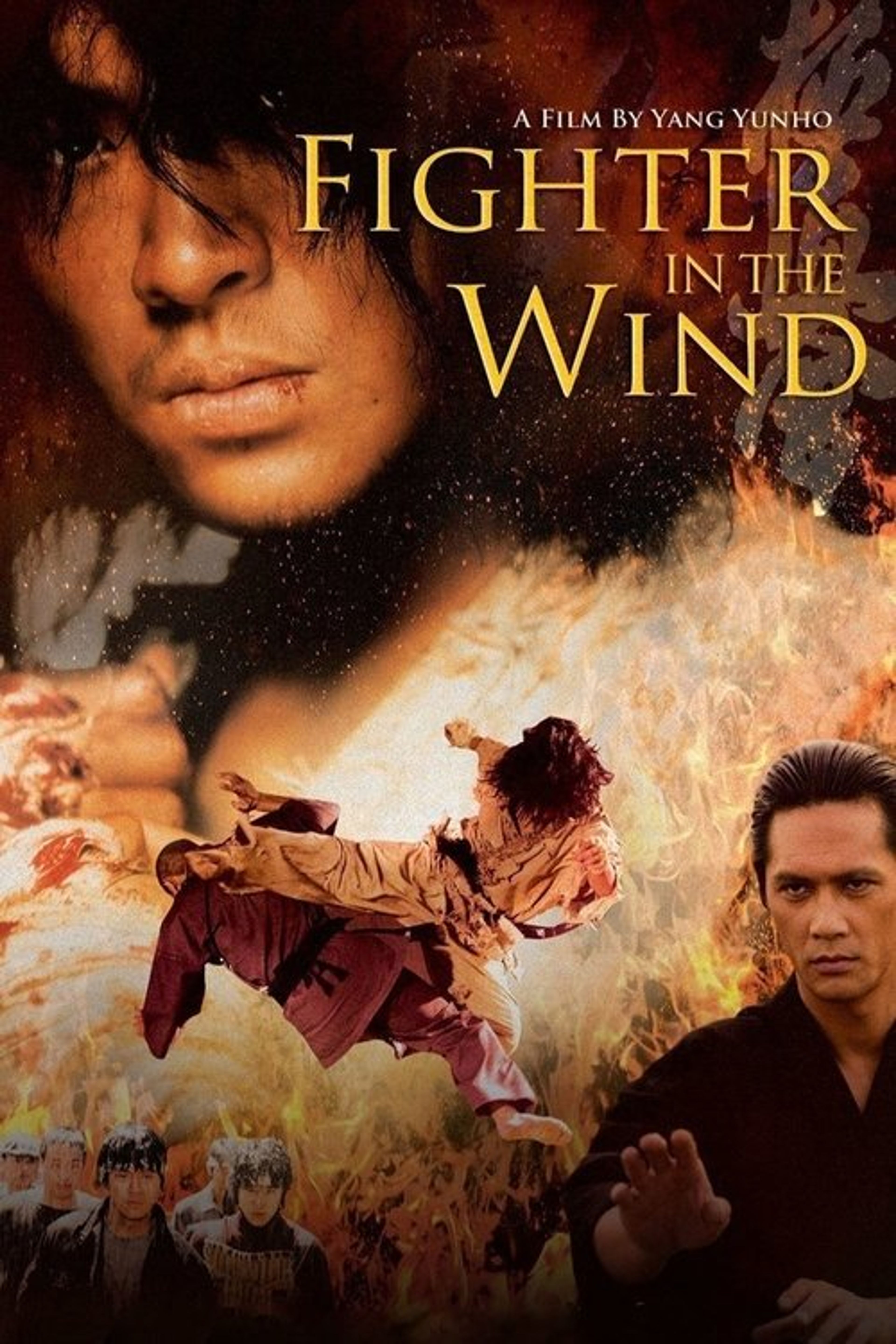 Poster image of Fighter in the Wind