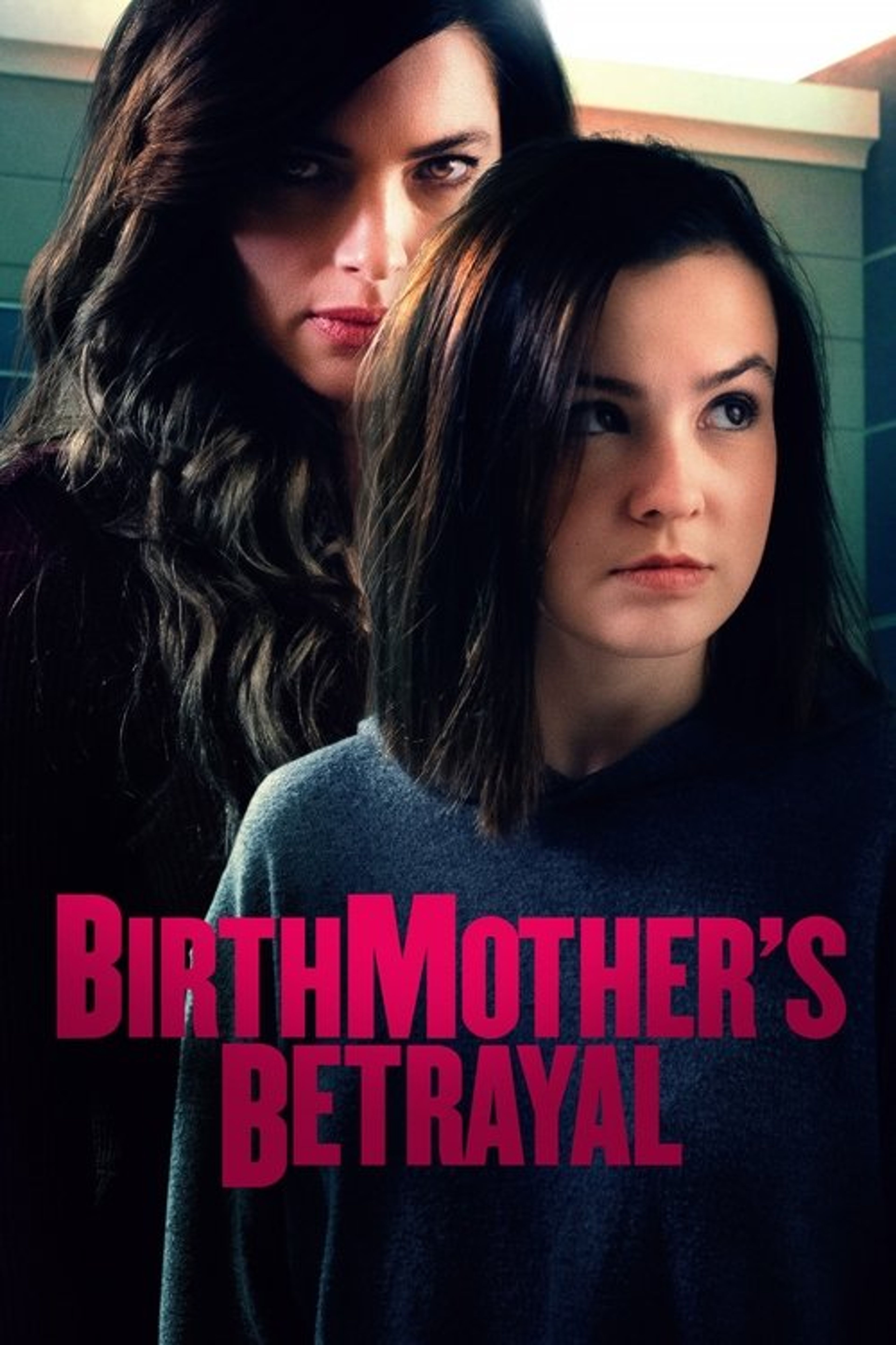 Poster image of Birthmother's Betrayal