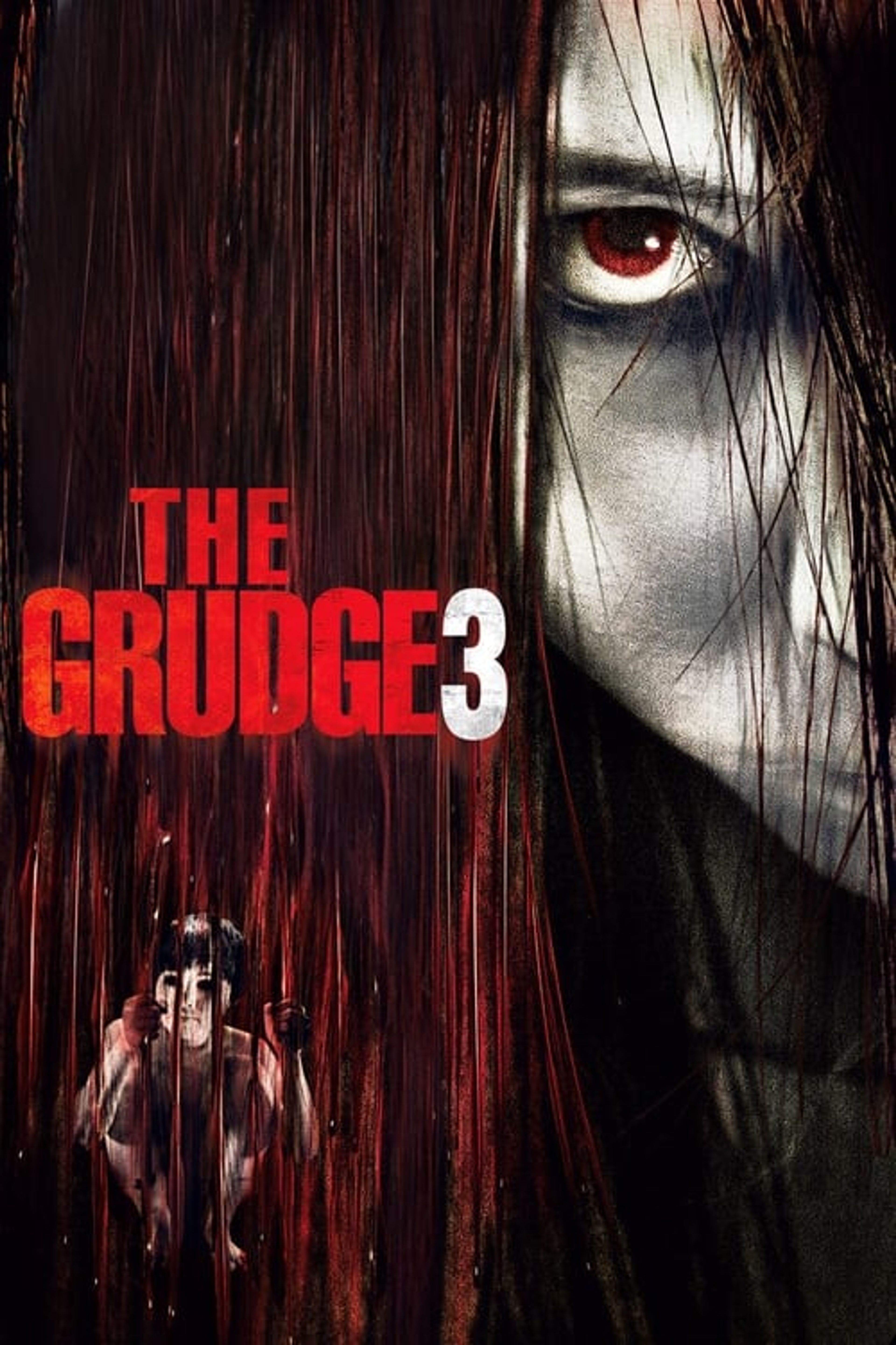 Poster image of The Grudge 3