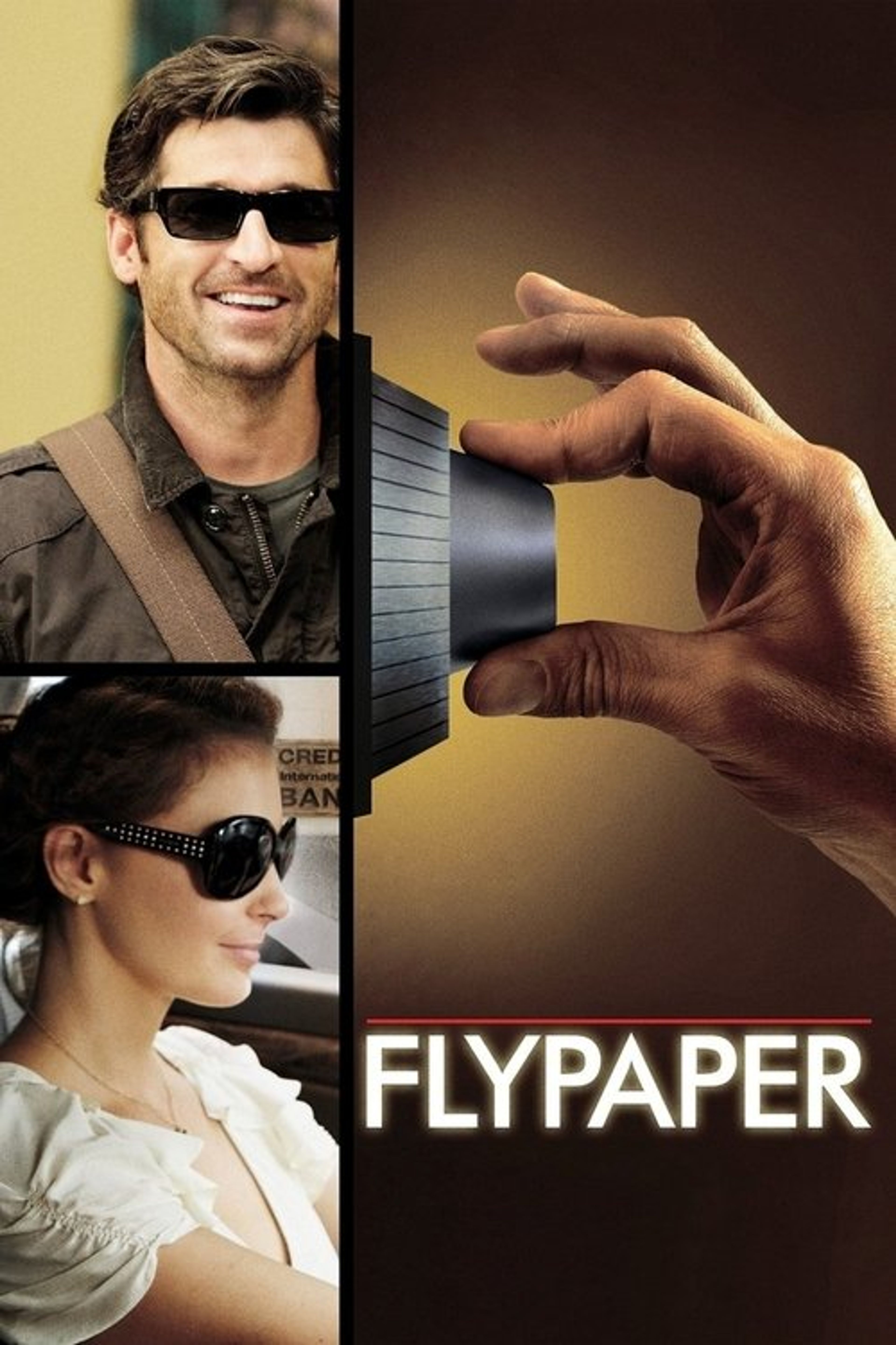 Poster image of Flypaper
