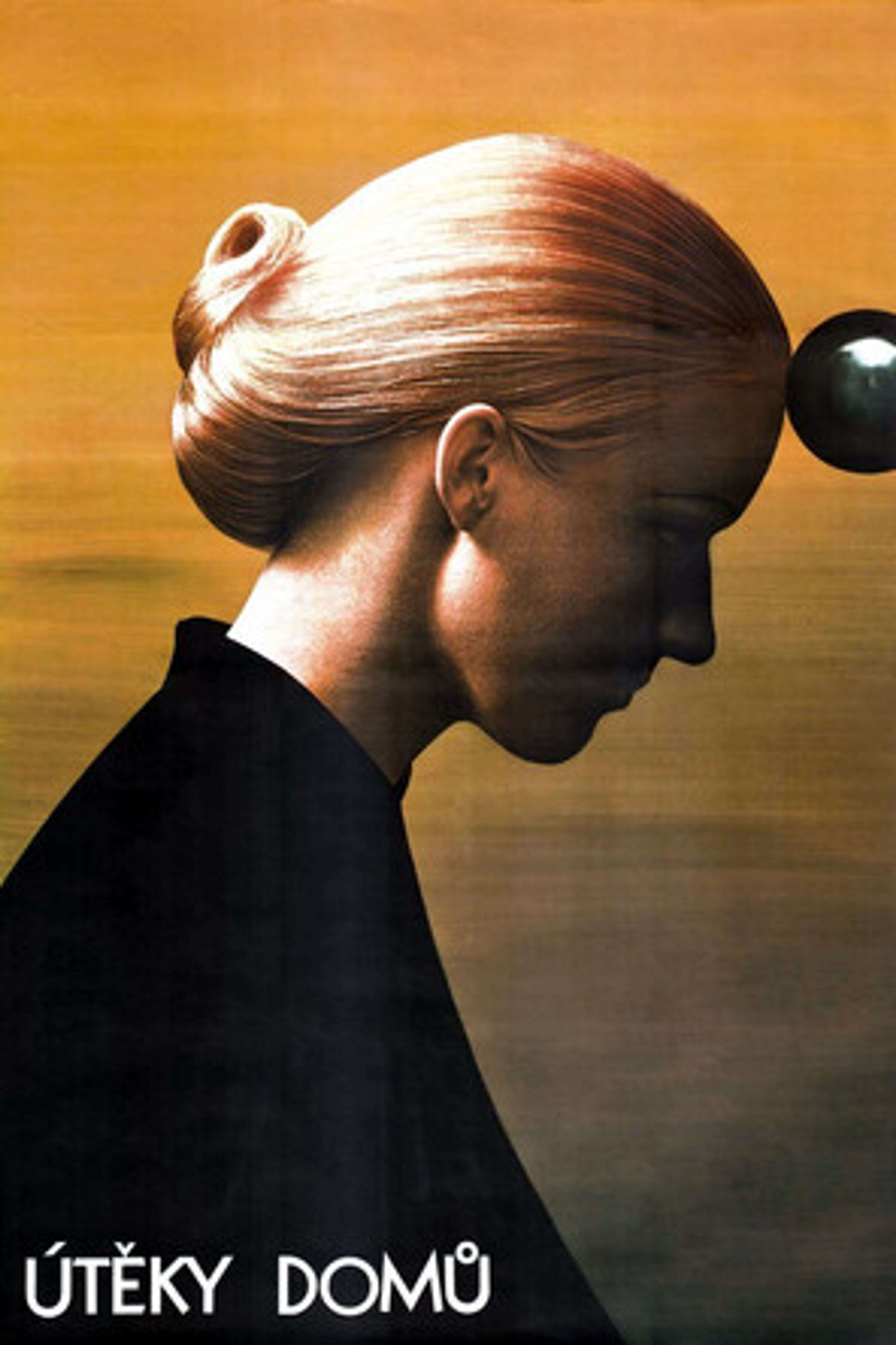 Poster image of Escape Home