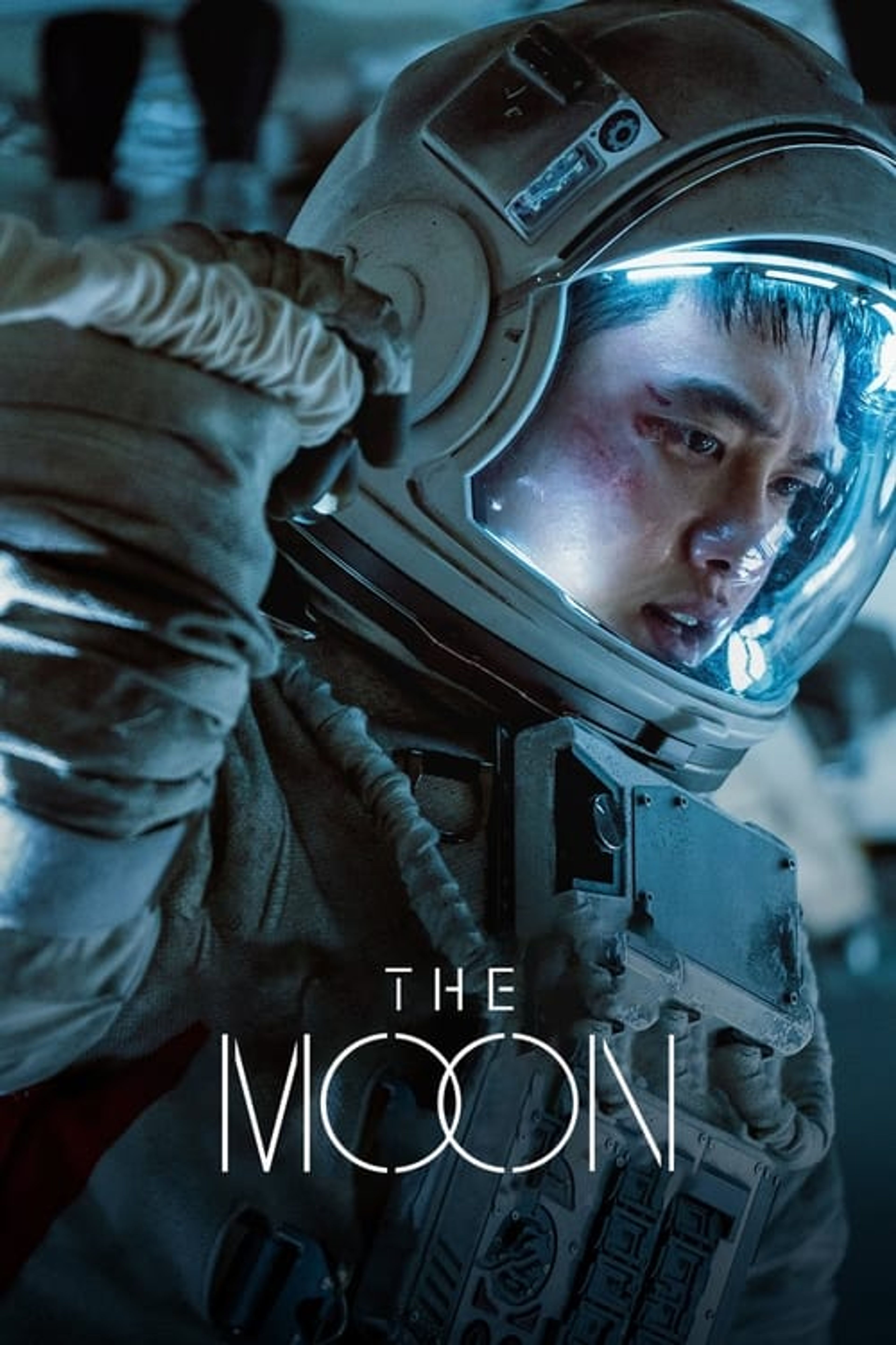 Poster image of The Moon