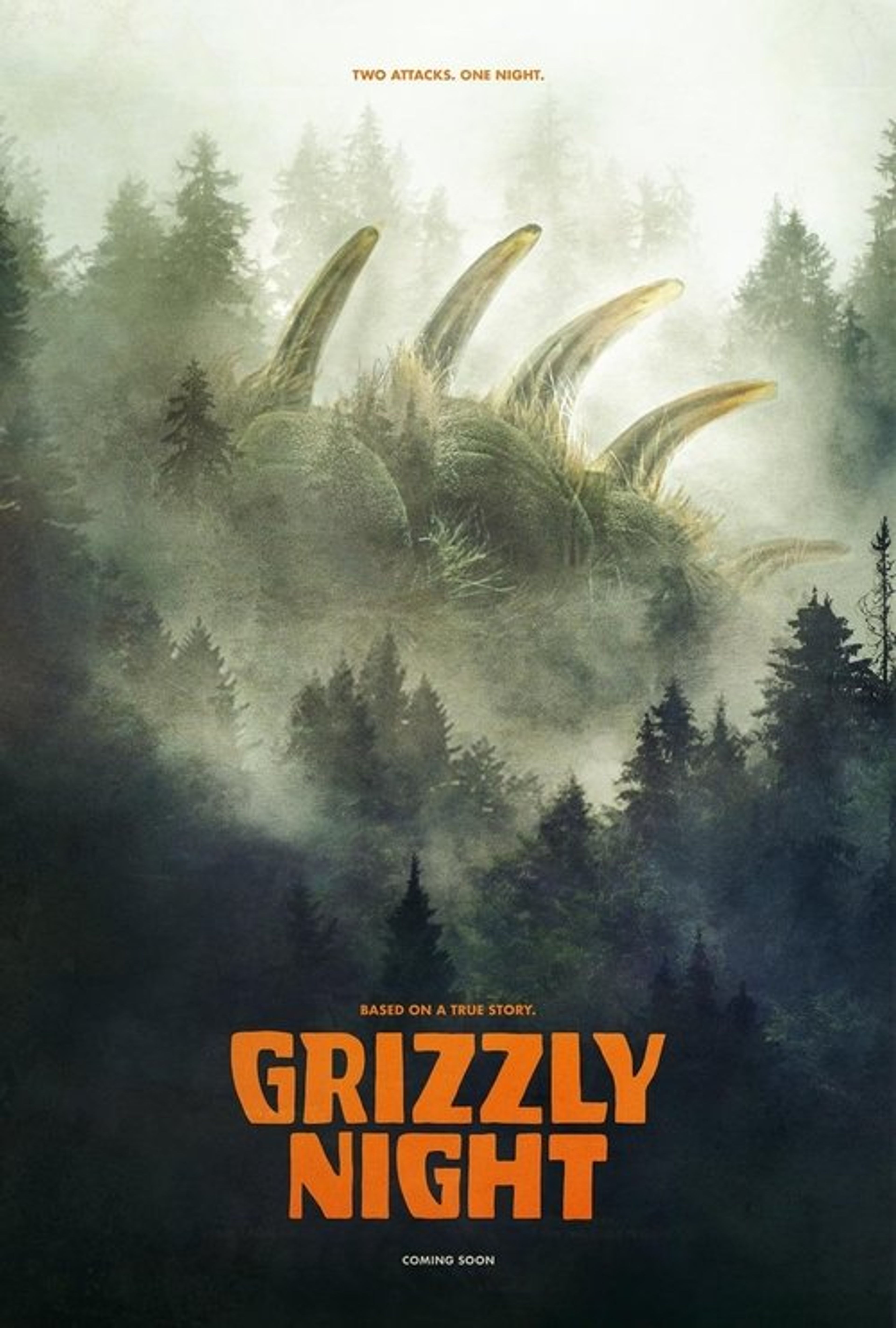 Poster image of Grizzly Night