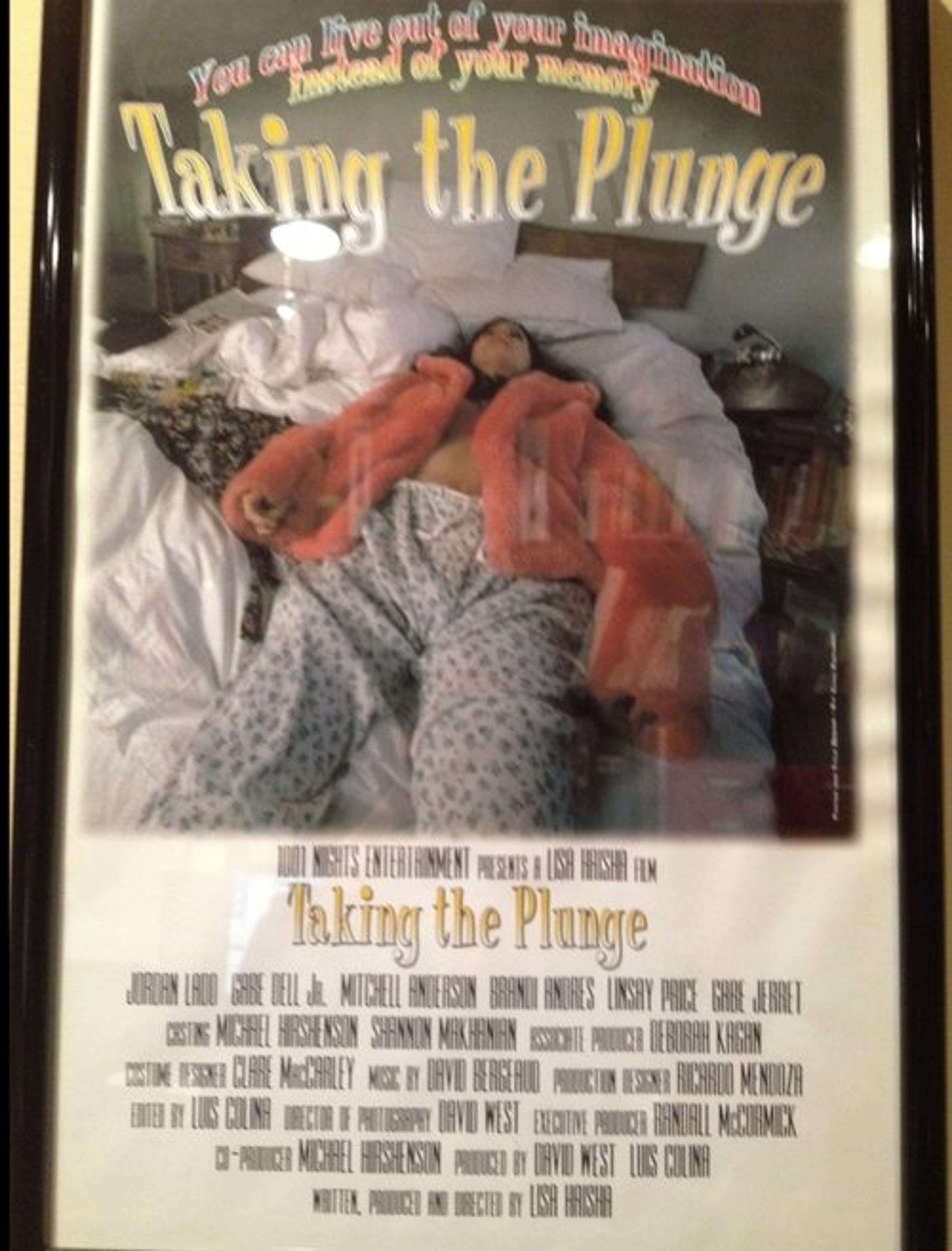 Poster image of Taking the Plunge