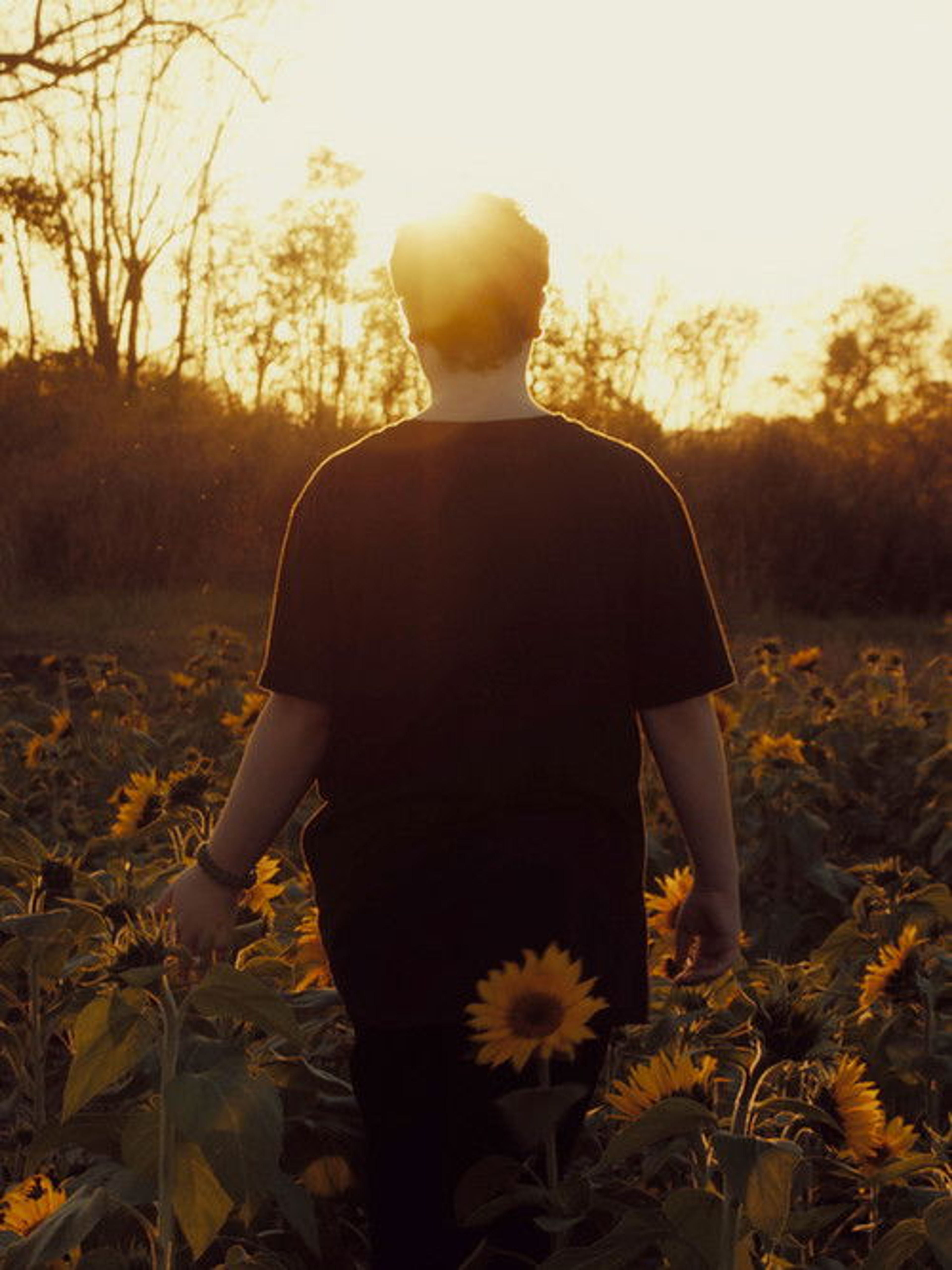 Poster image of The Universe