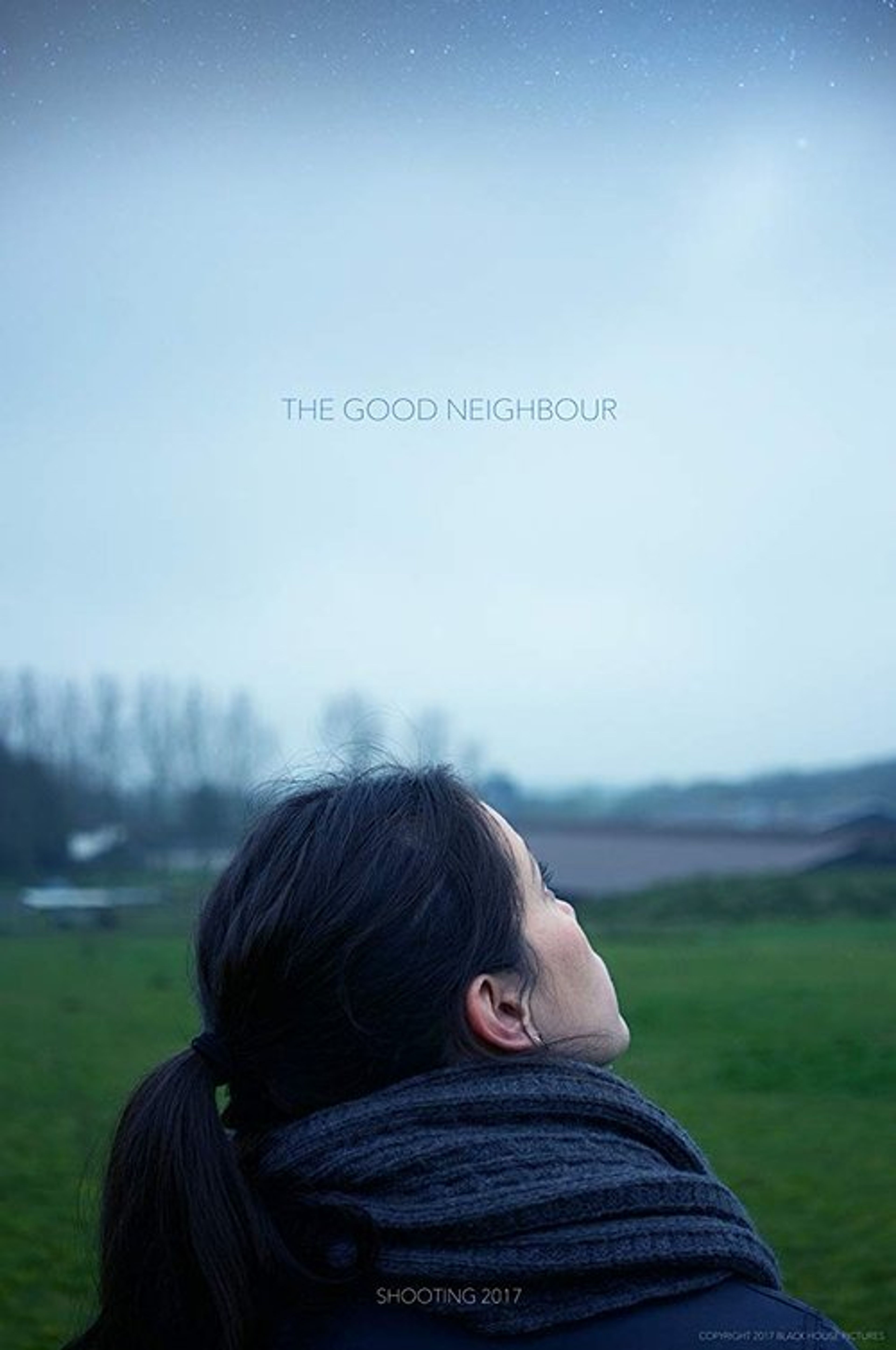 Poster image of The Good Neighbour