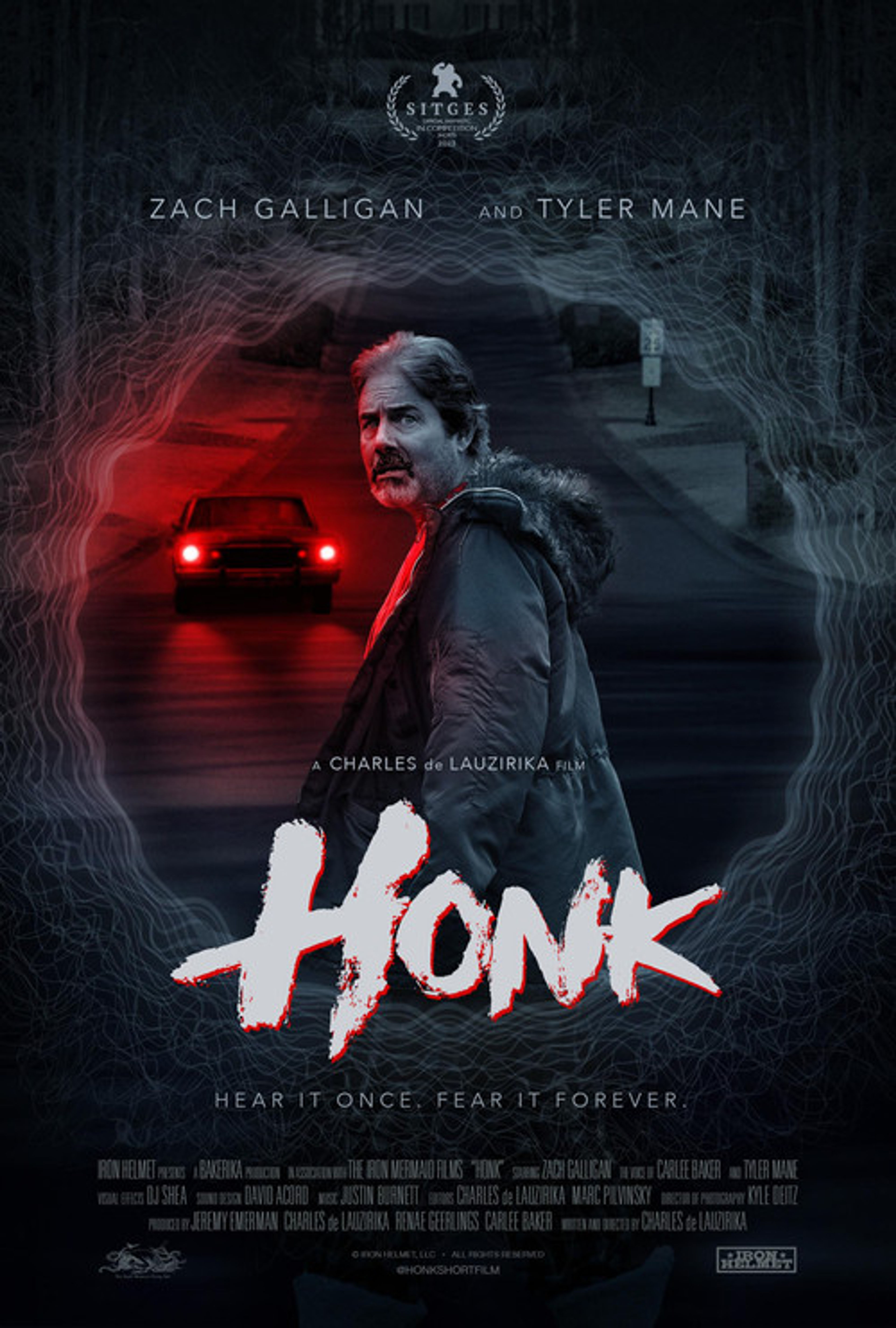 Poster image of Honk