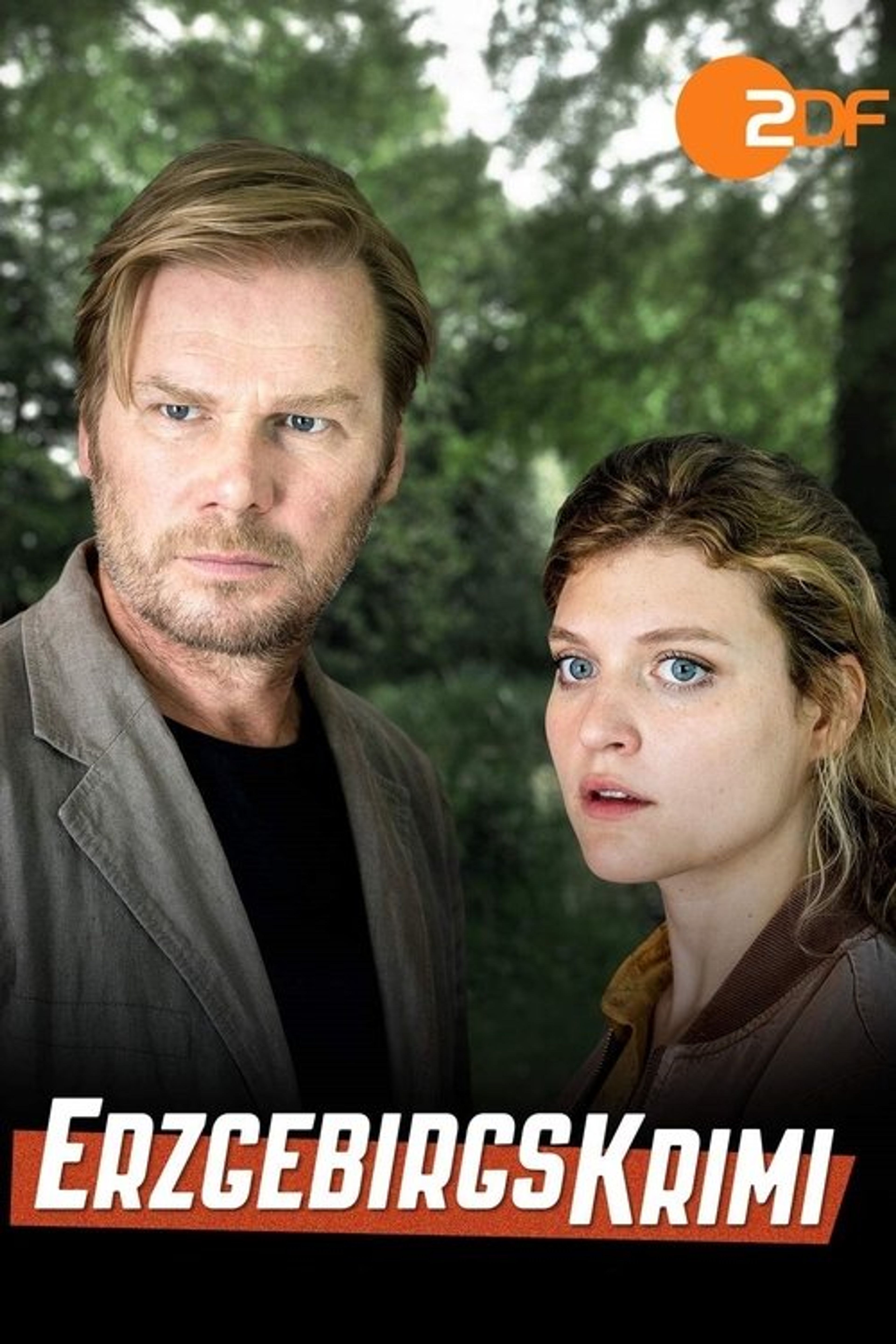 Poster image of Erzgebirgskrimi