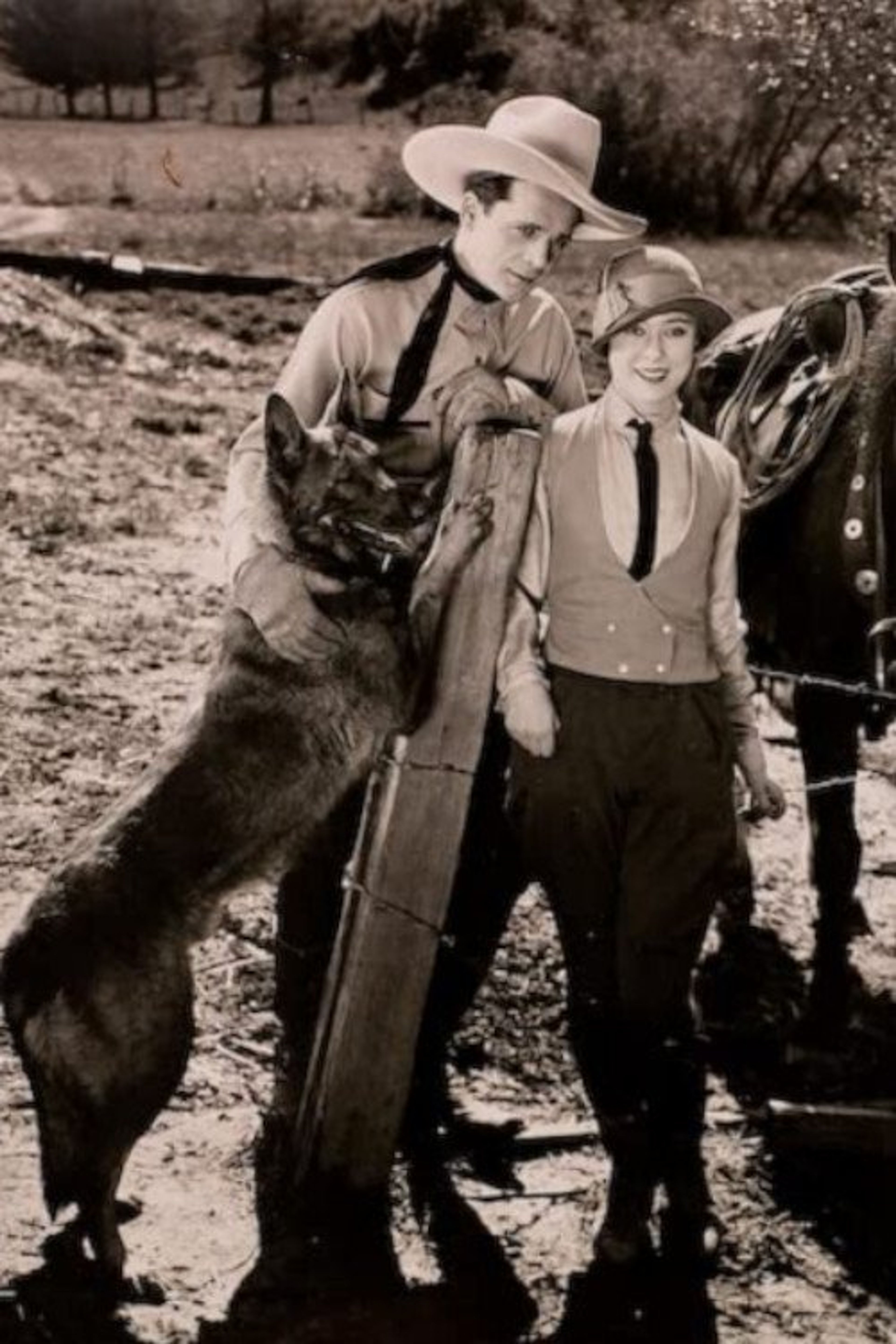 Poster image of The Four-Footed Ranger