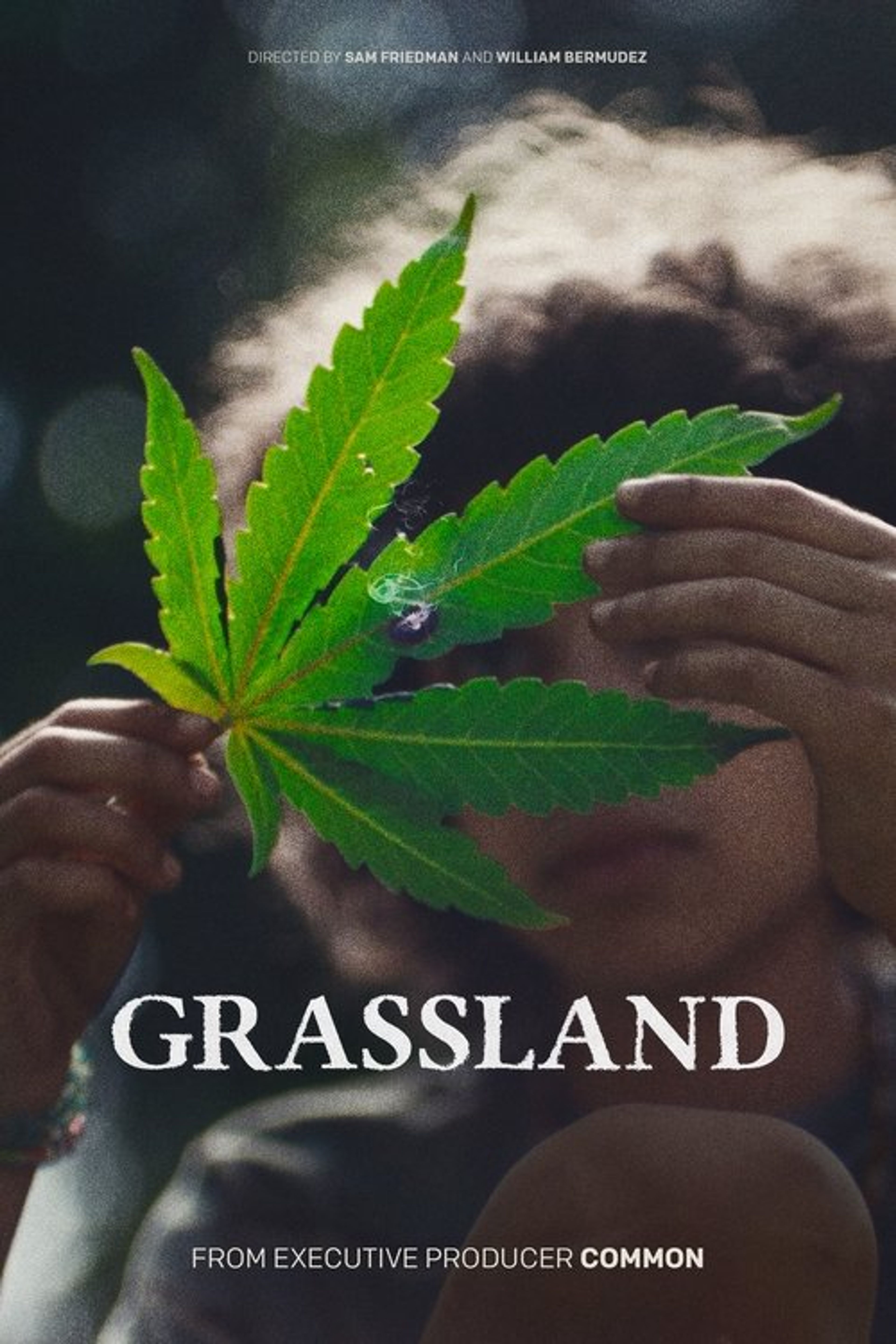 Poster image of Grassland