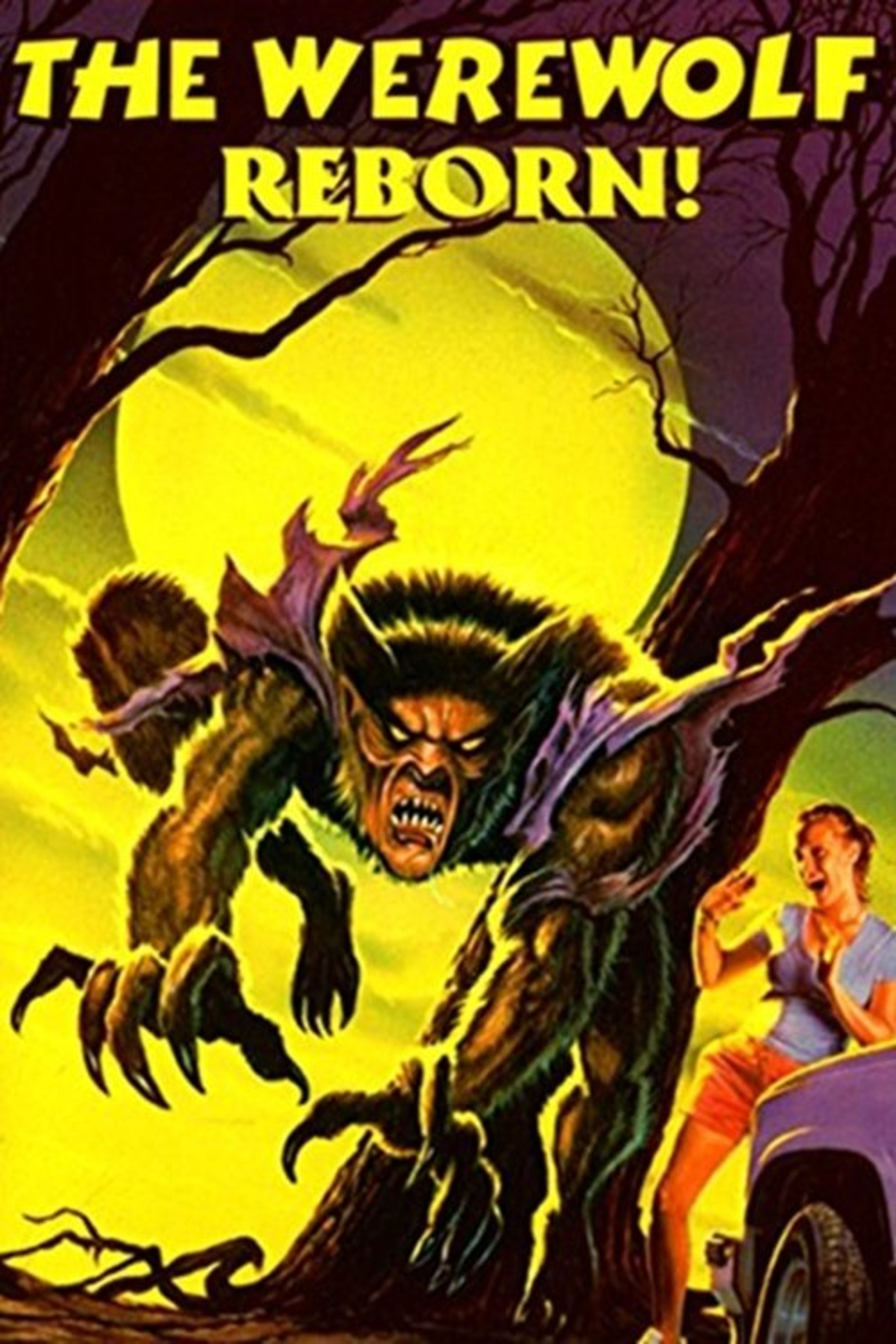 Poster image of The Werewolf Reborn!