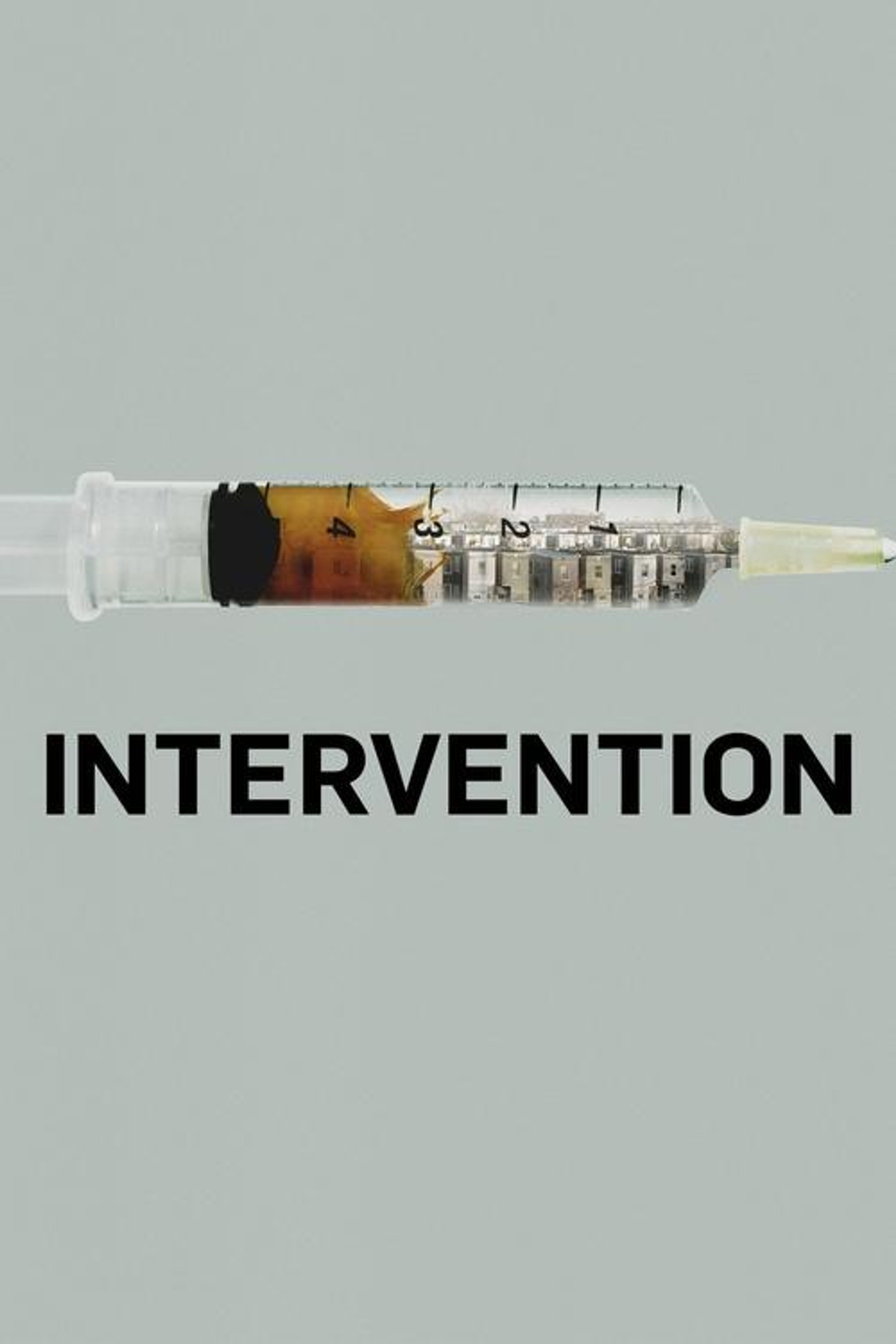 Poster image of Intervention