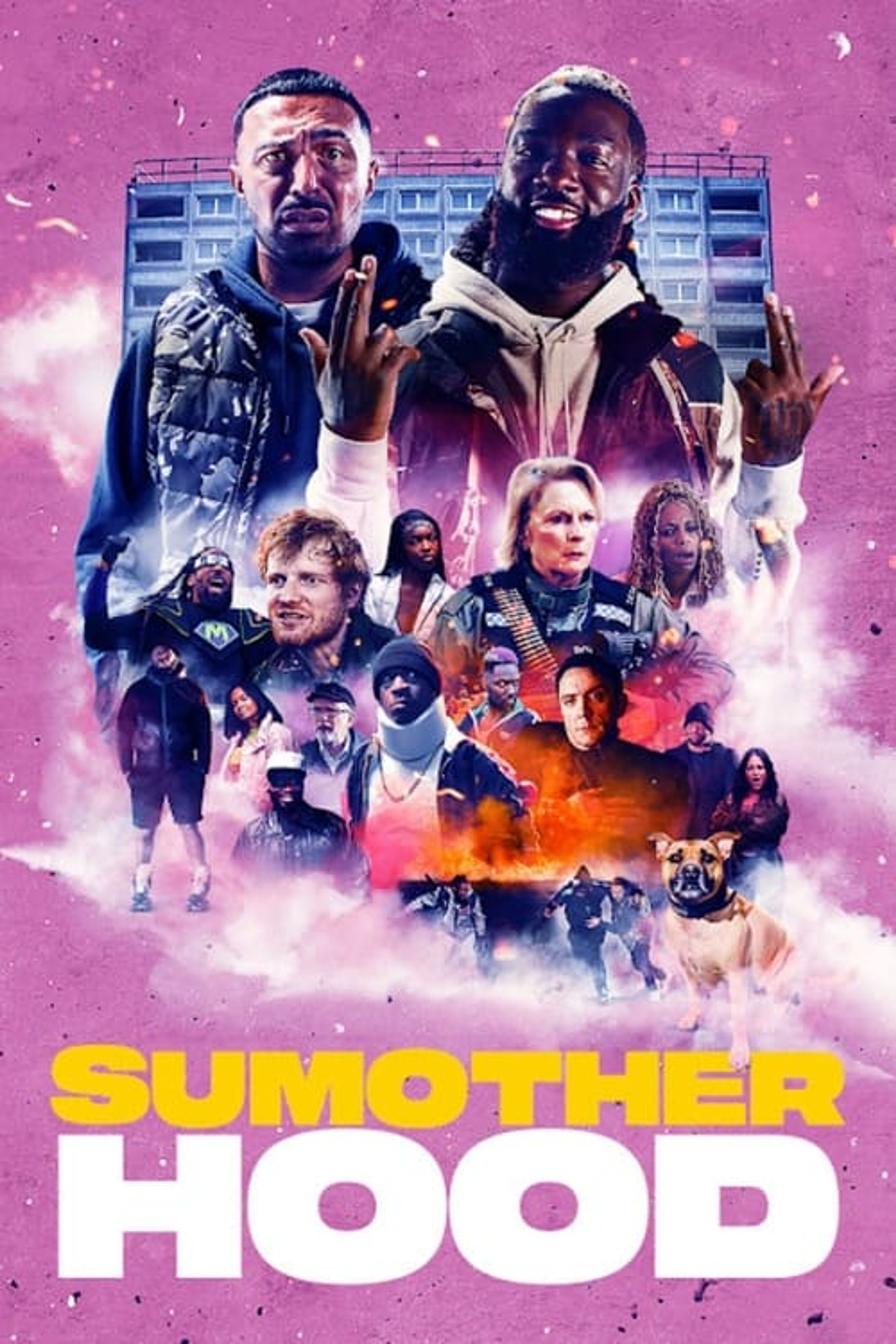 Poster image of Sumotherhood
