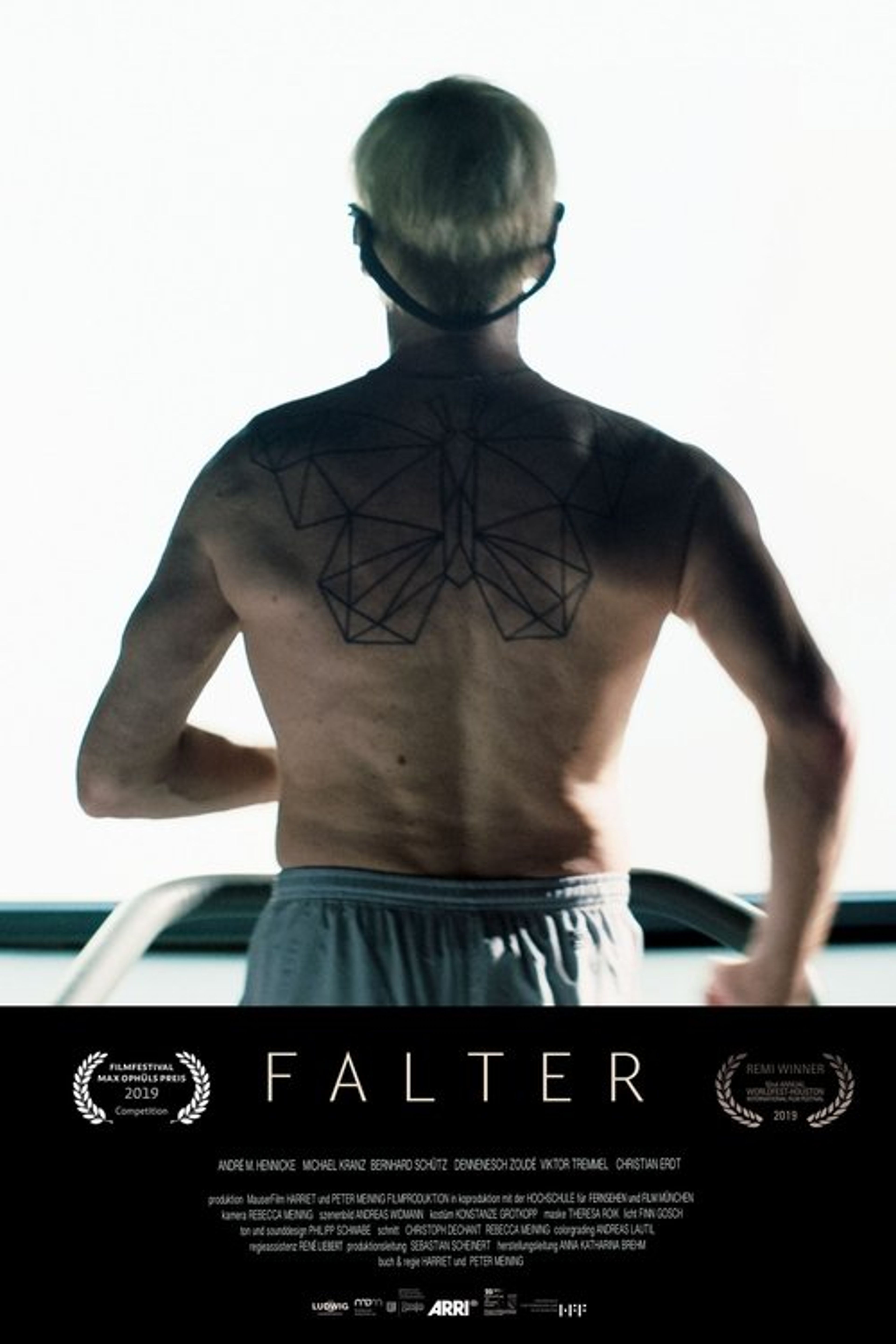 Poster image of Falter
