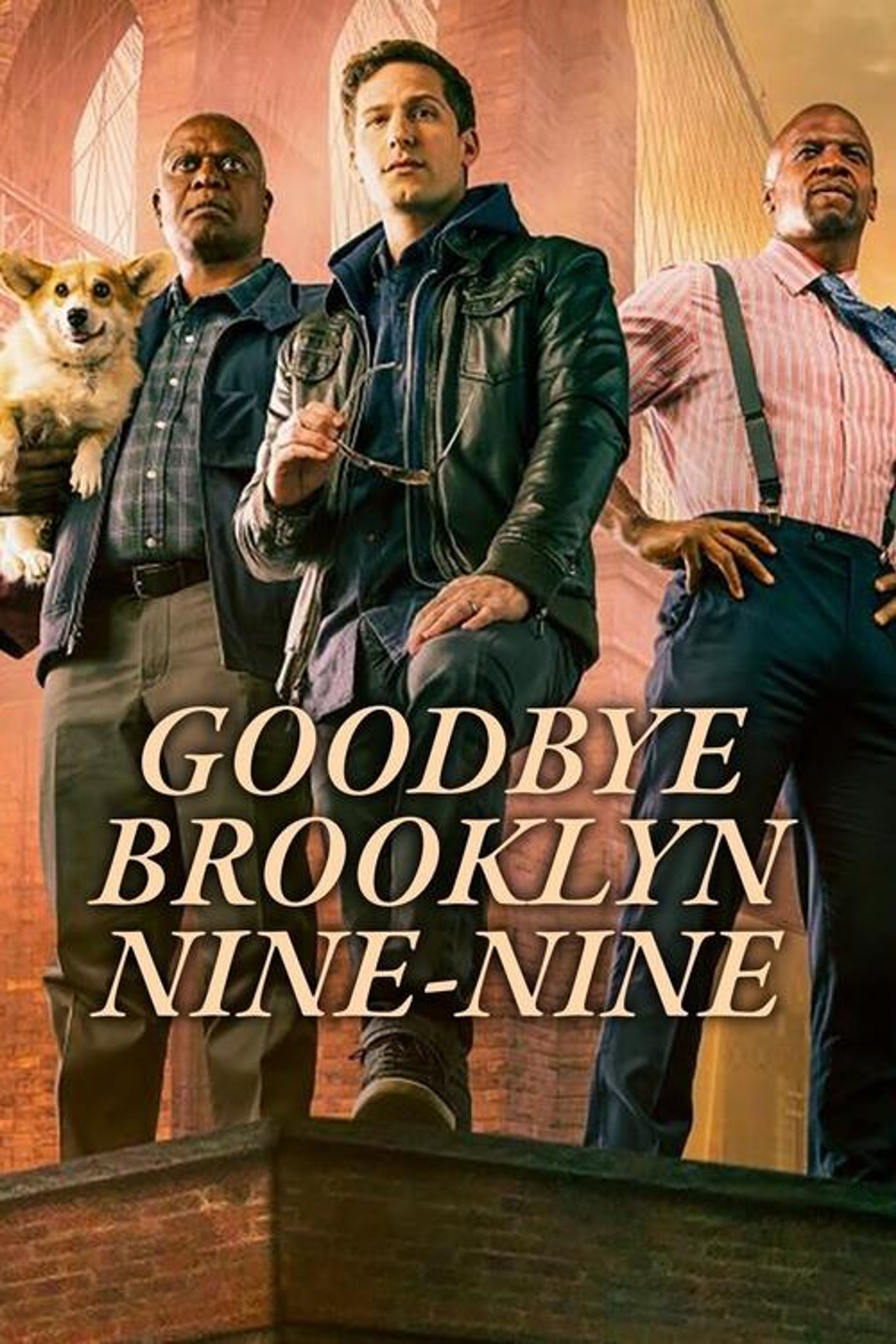 Poster image of Goodbye Brooklyn Nine-Nine
