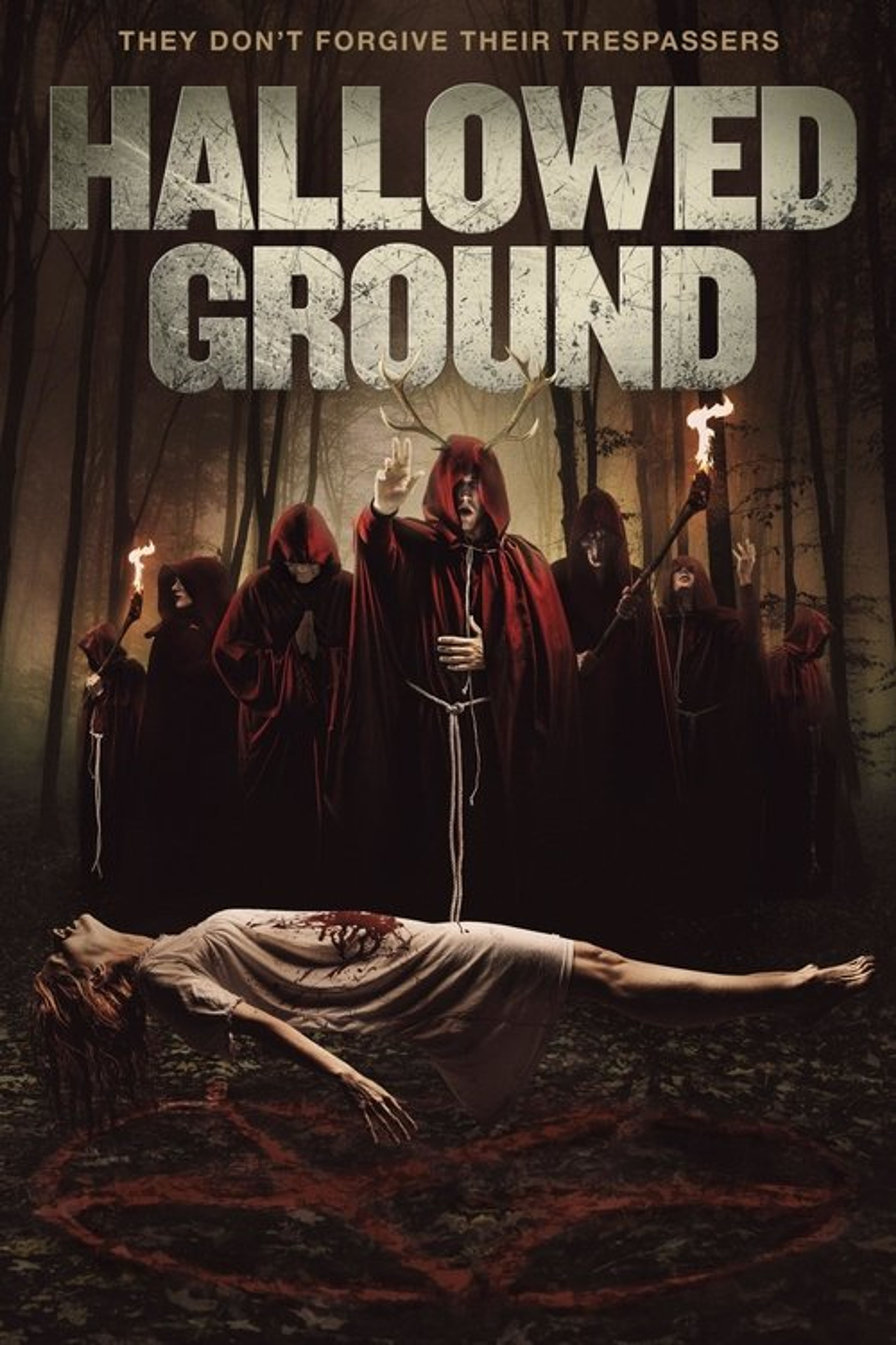 Poster image of Hallowed Ground