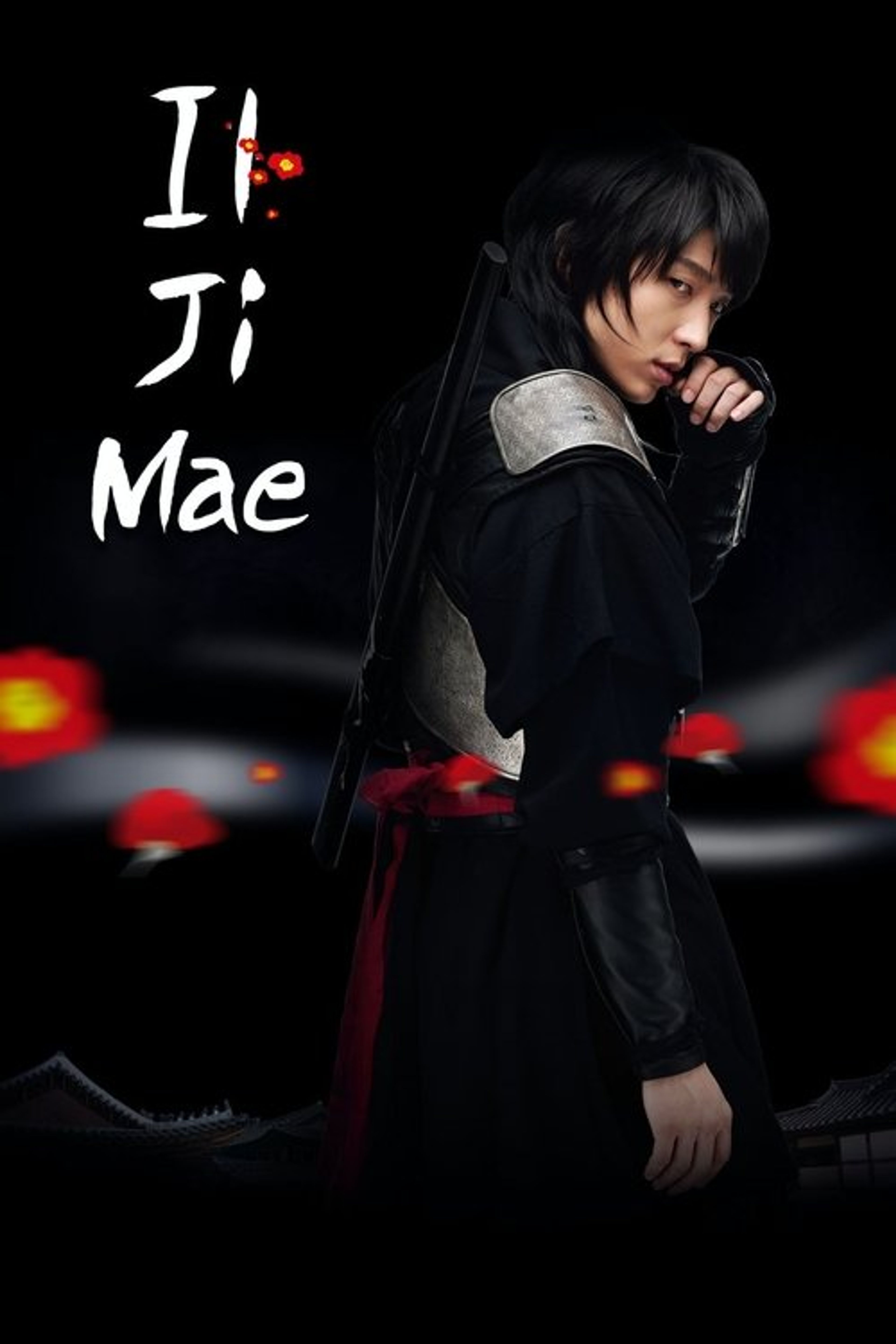 Poster image of Iljimae