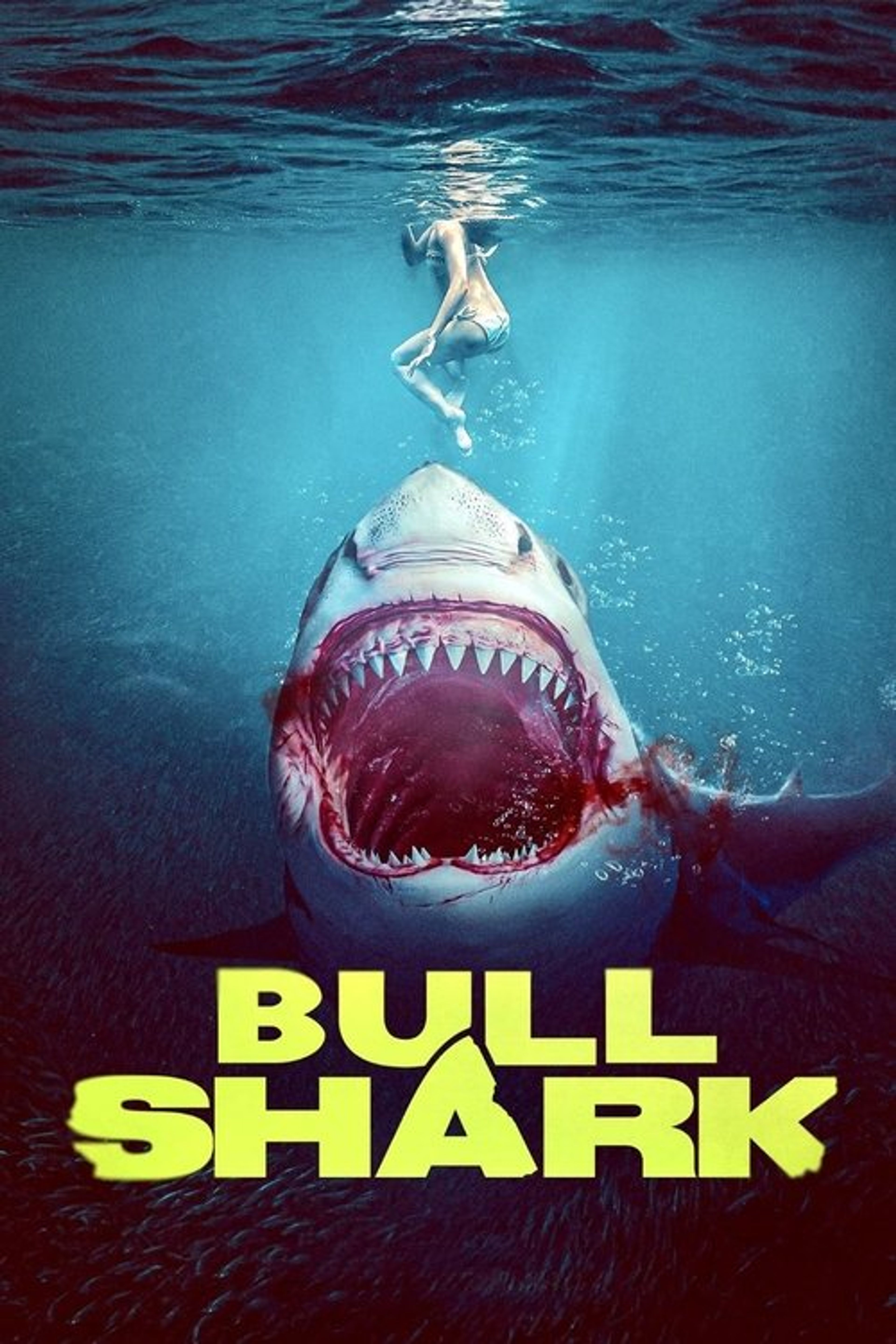 Poster image of Bull Shark