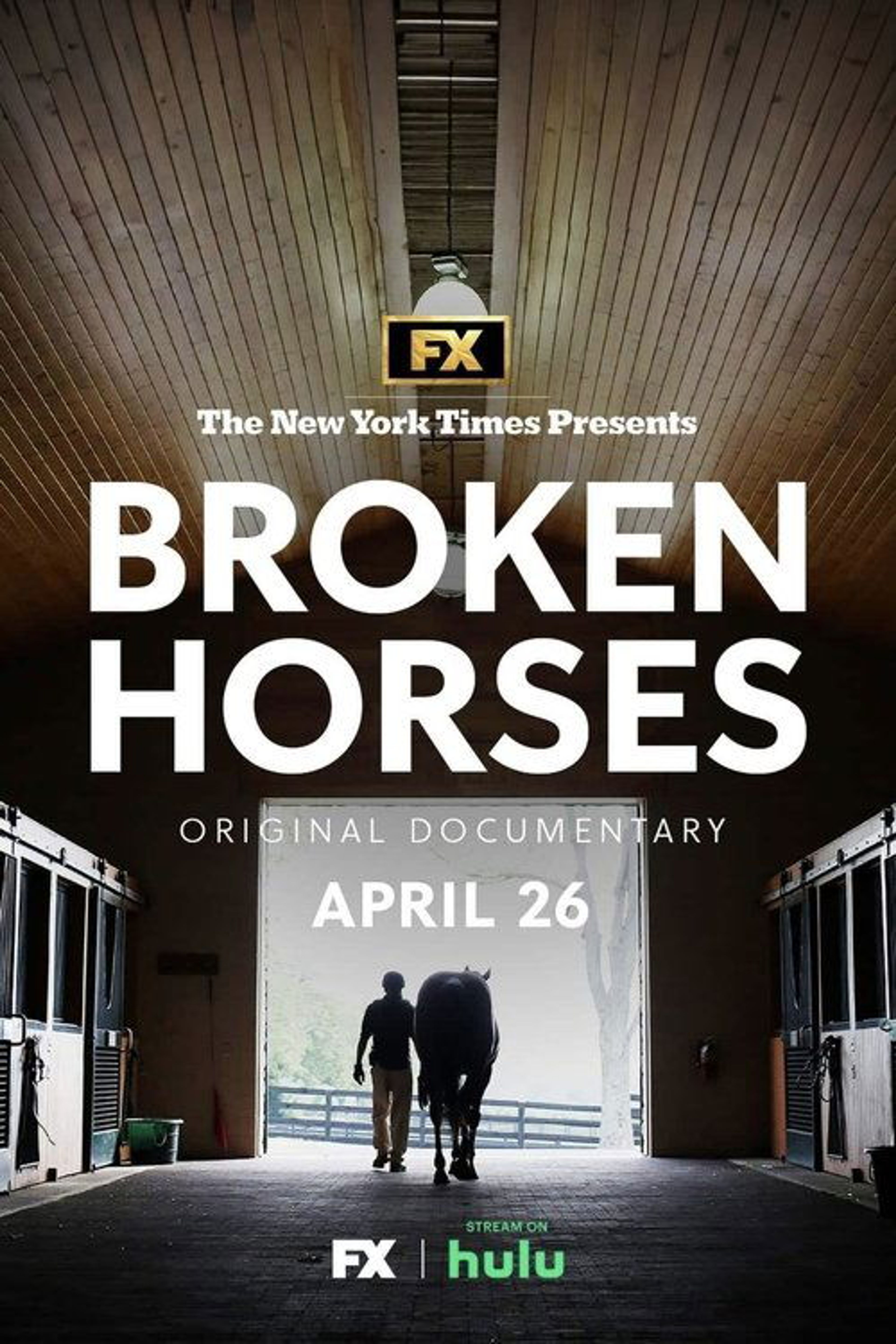 Poster image of Broken Horses