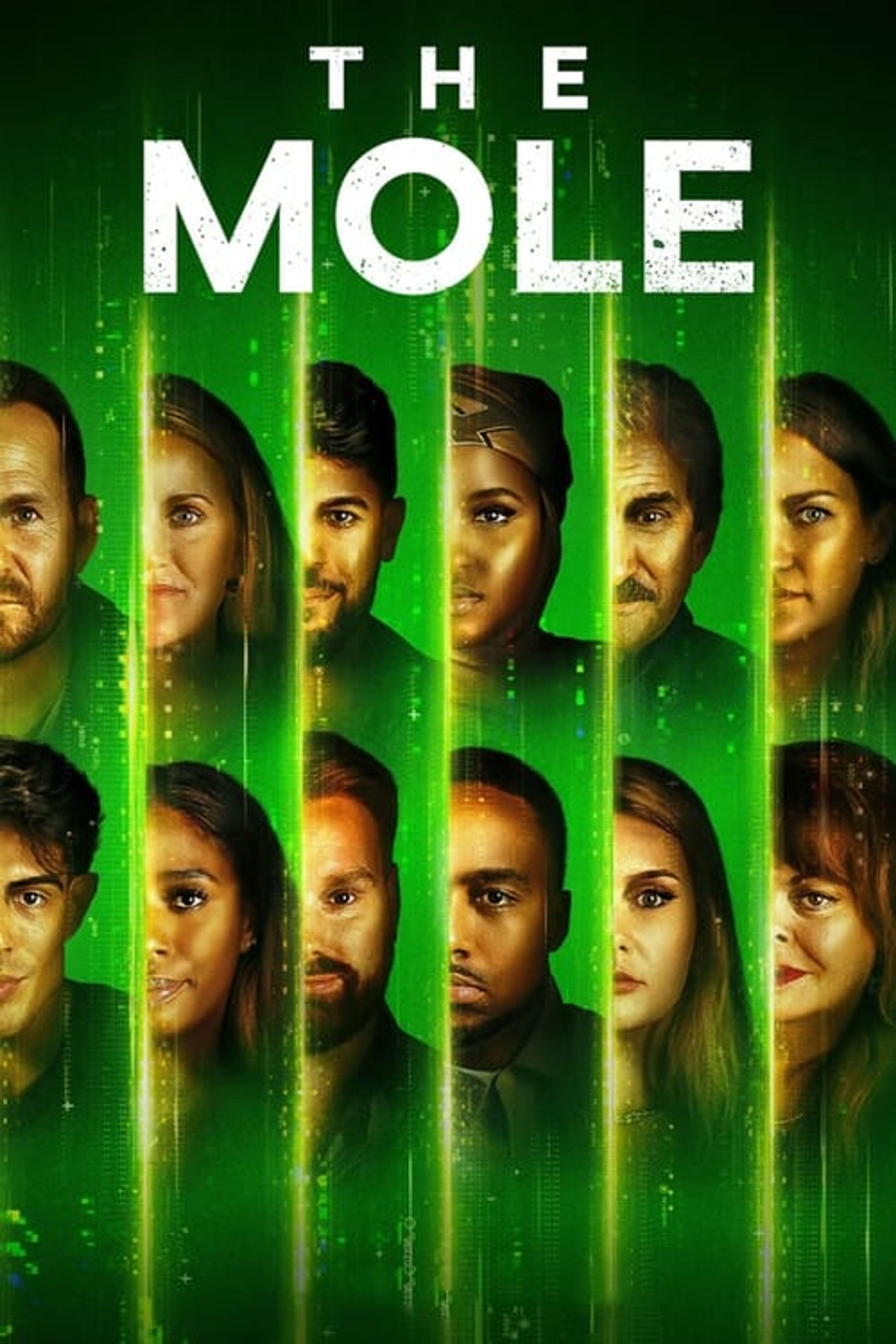 Poster image of The Mole