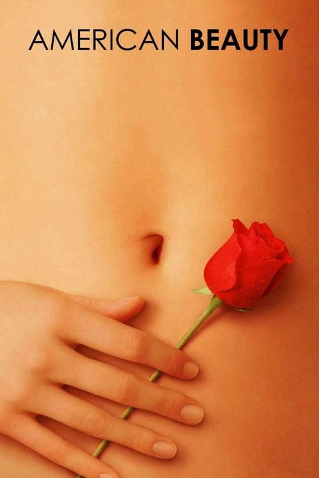 Poster image of American Beauty