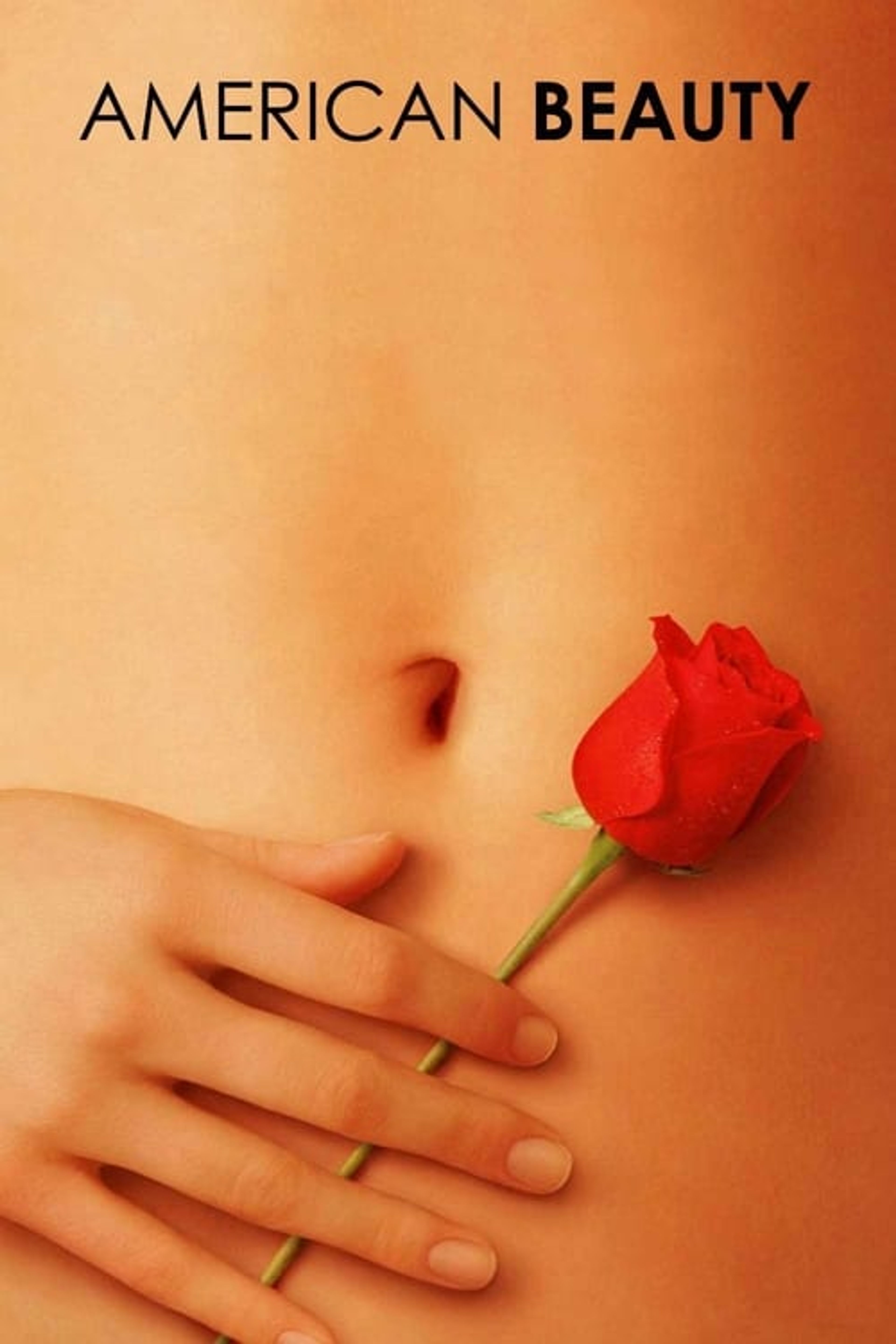 Poster image of American Beauty