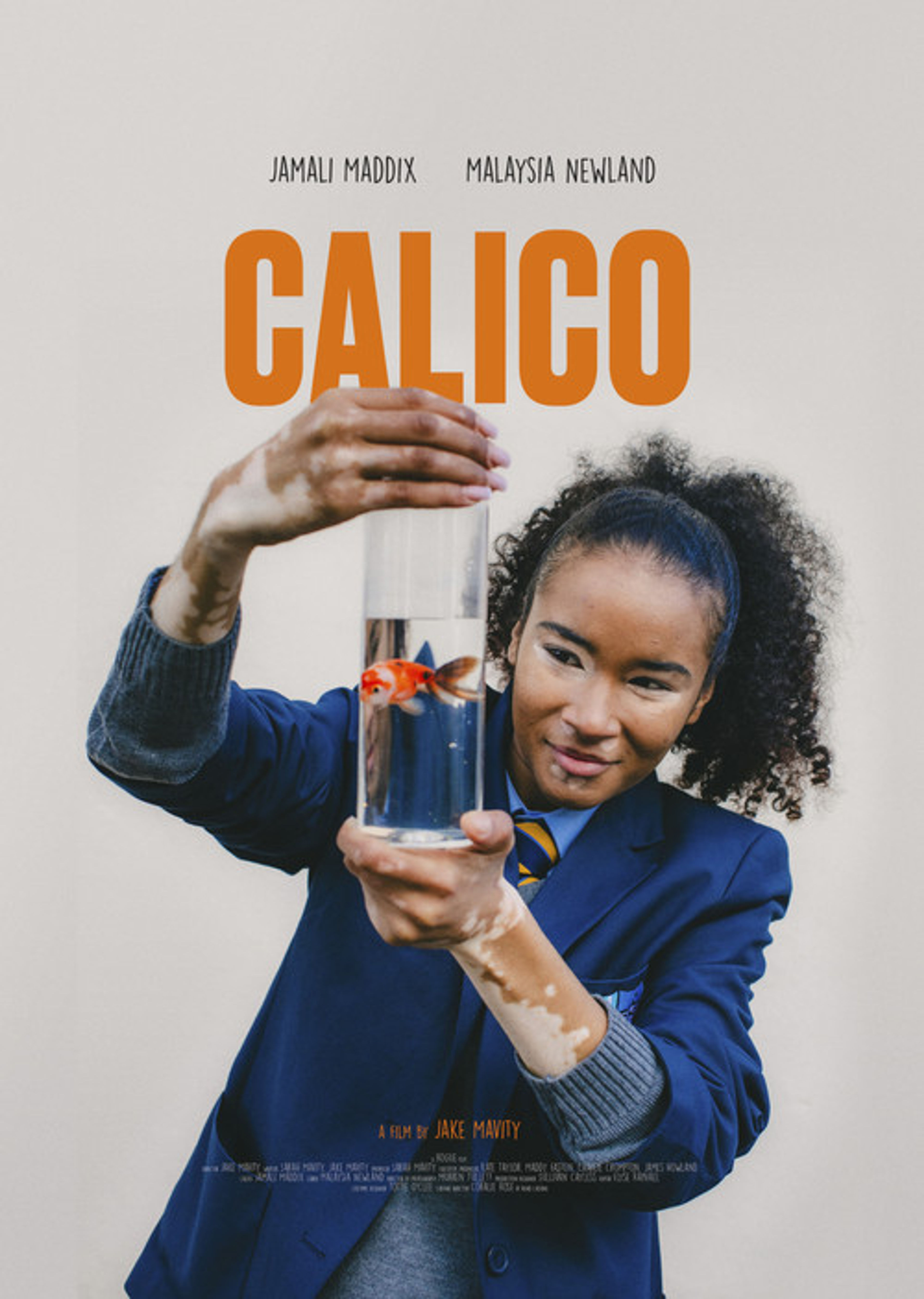 Poster image of CALICO