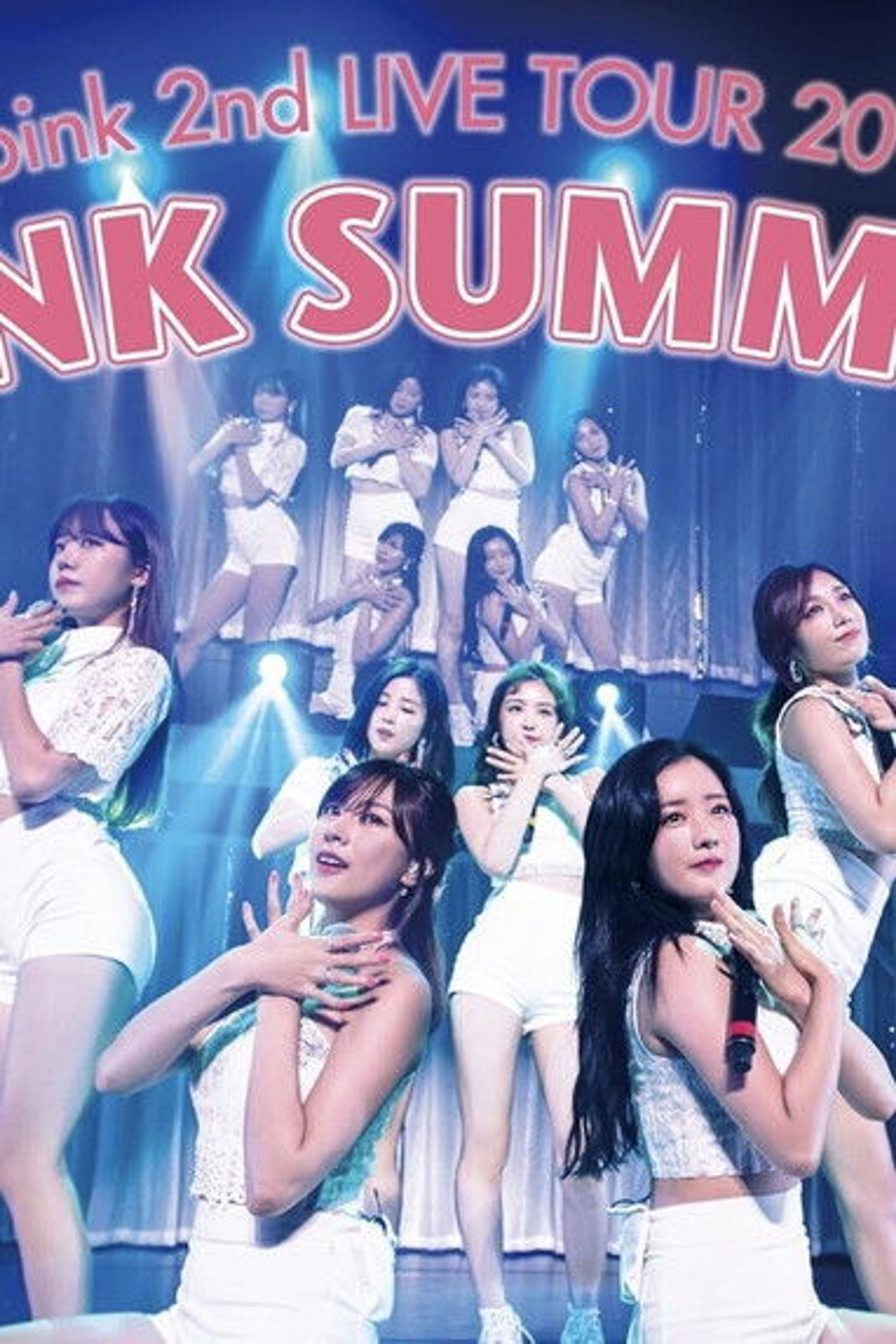 Poster image of Apink 2nd LIVE TOUR 2016 -PINK SUMMER-