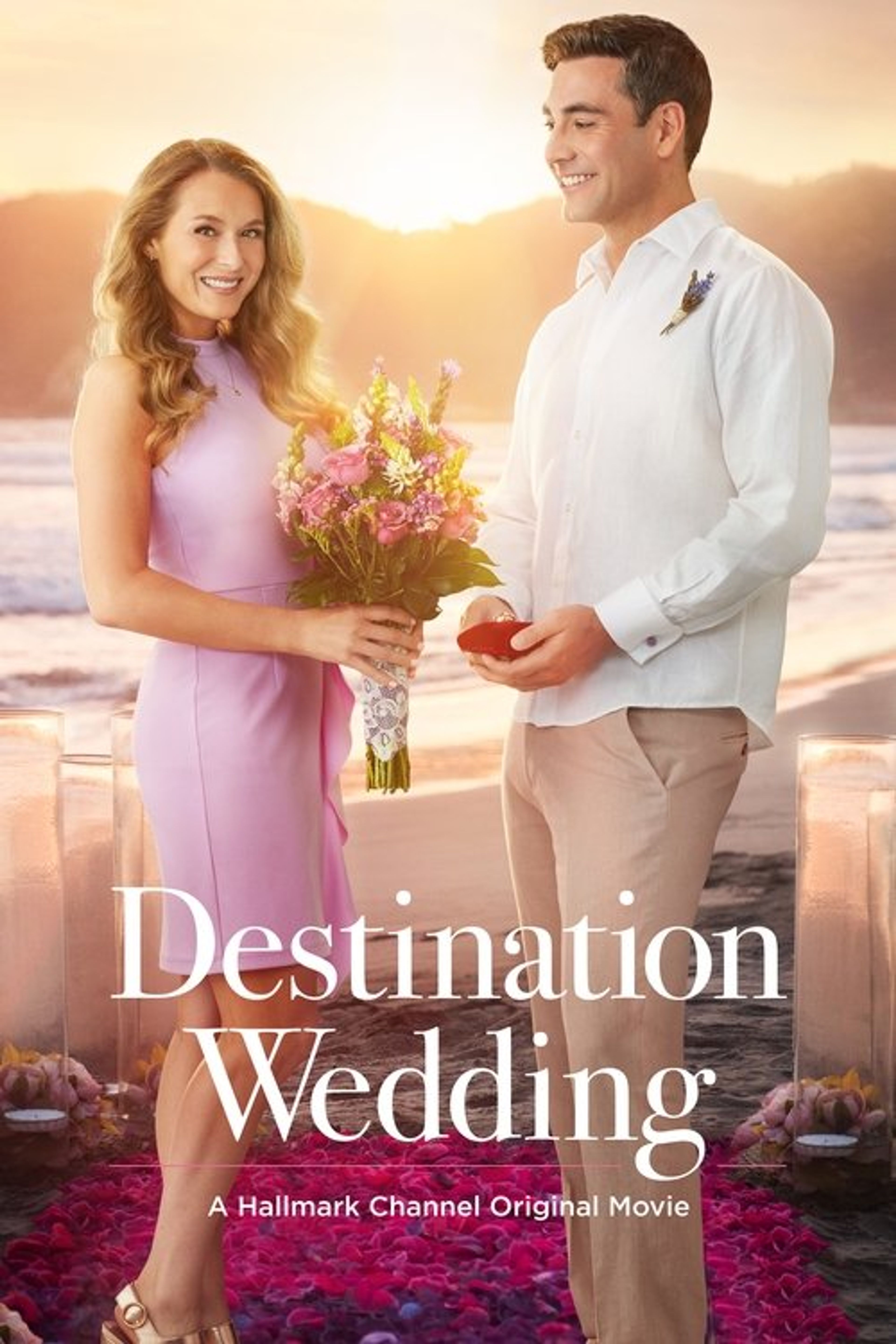Poster image of Destination Wedding