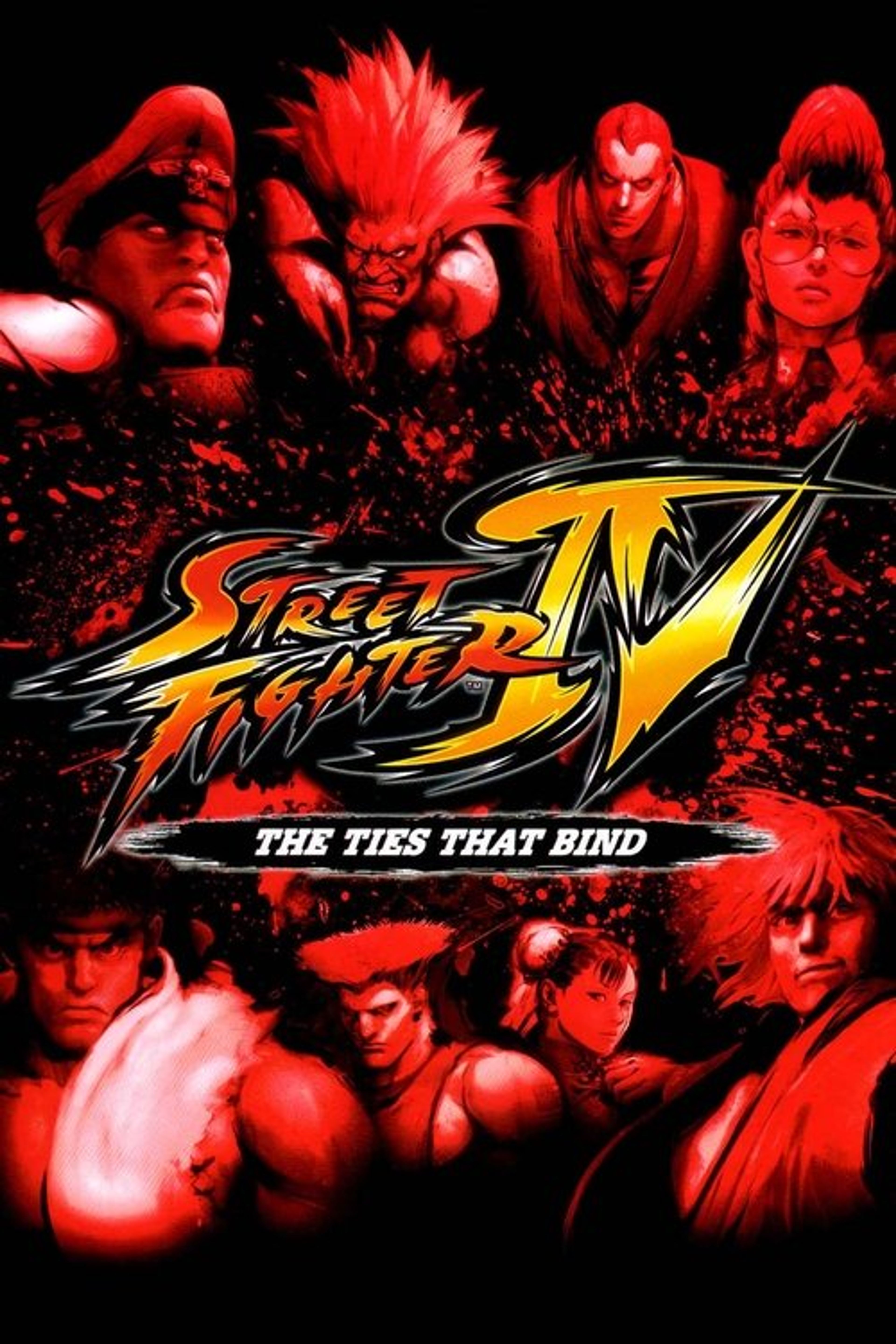 Poster image of Street Fighter IV: The Ties That Bind