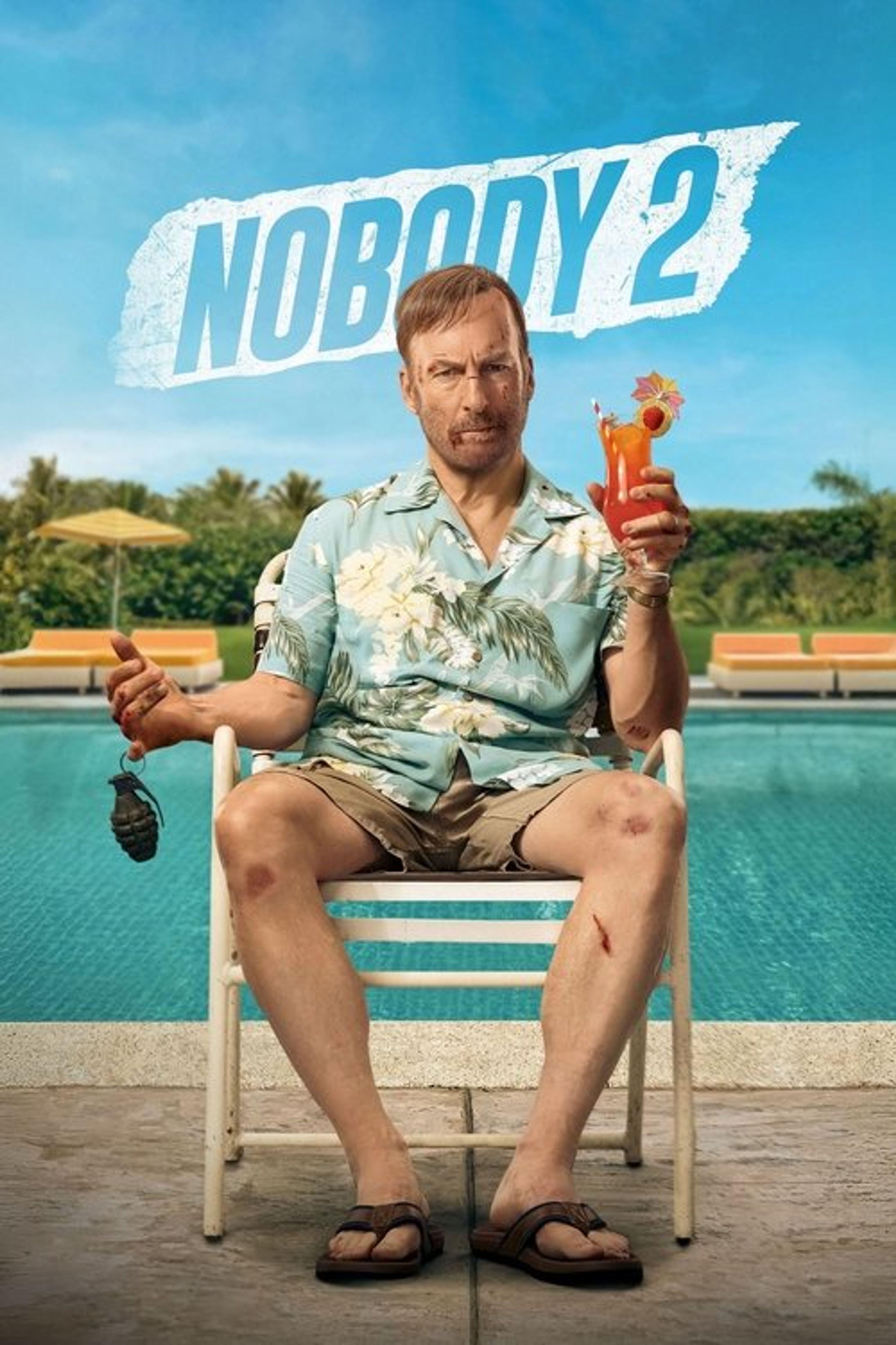 Poster image of Nobody 2