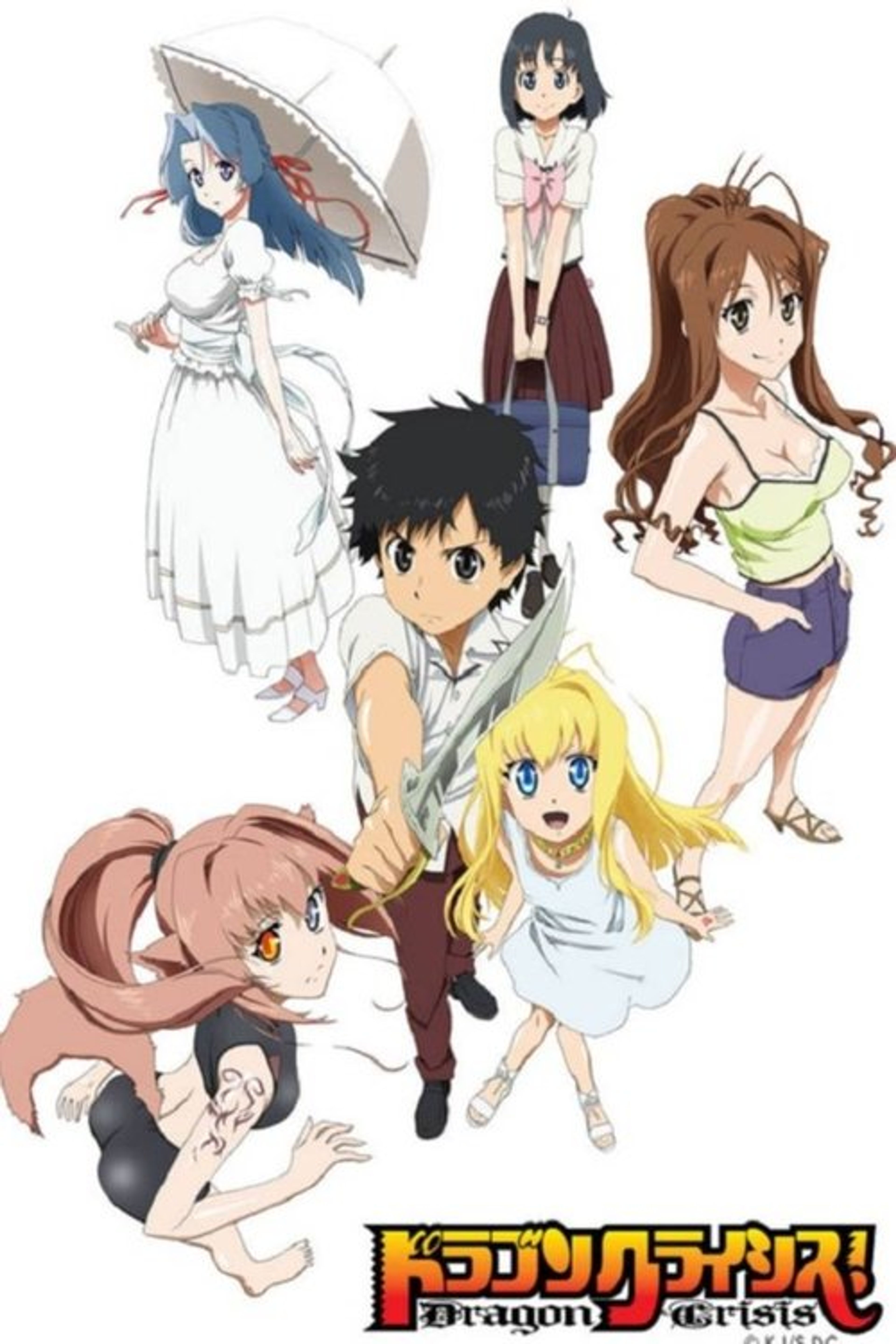 Poster image of Dragon Crisis!