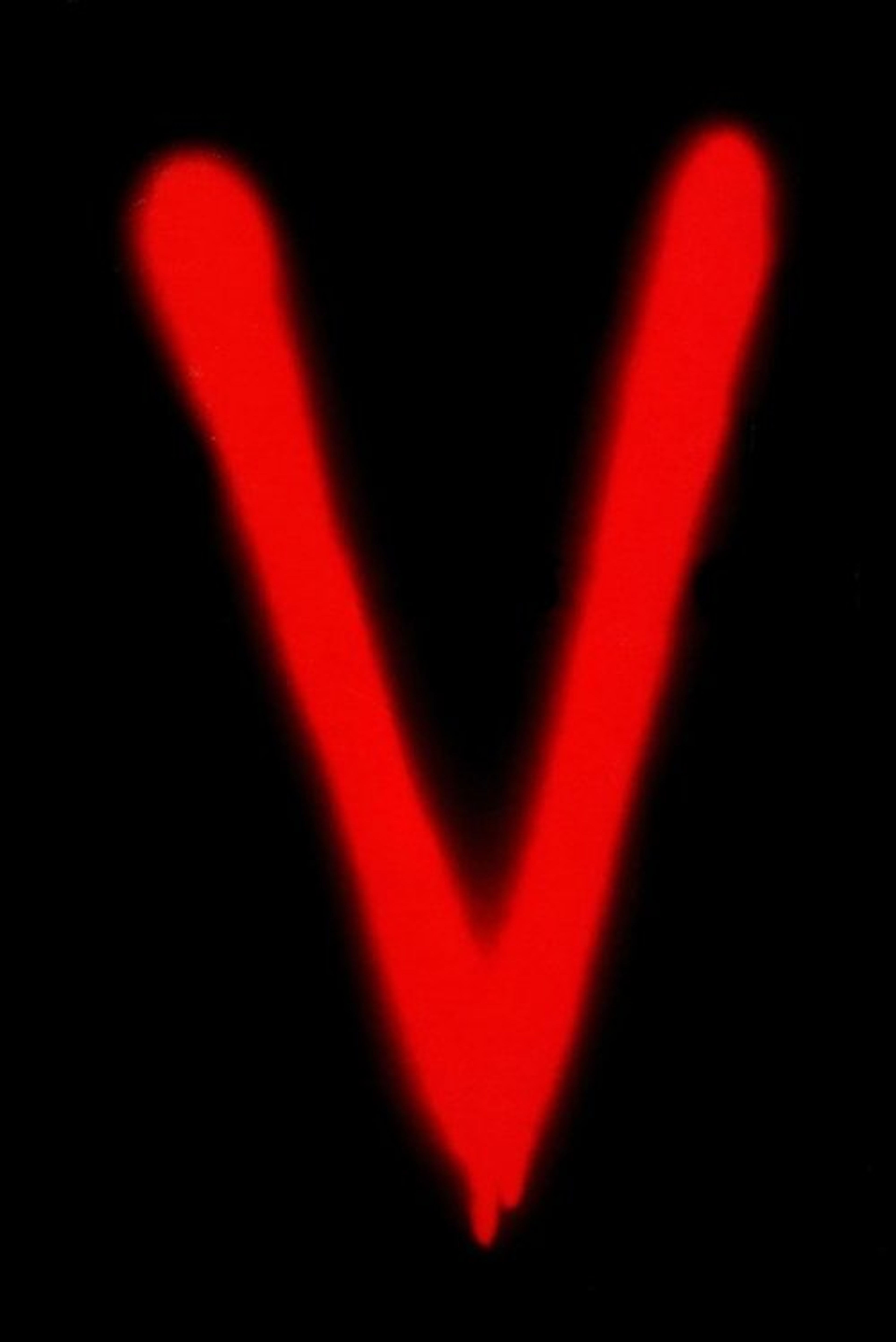 Poster image of V