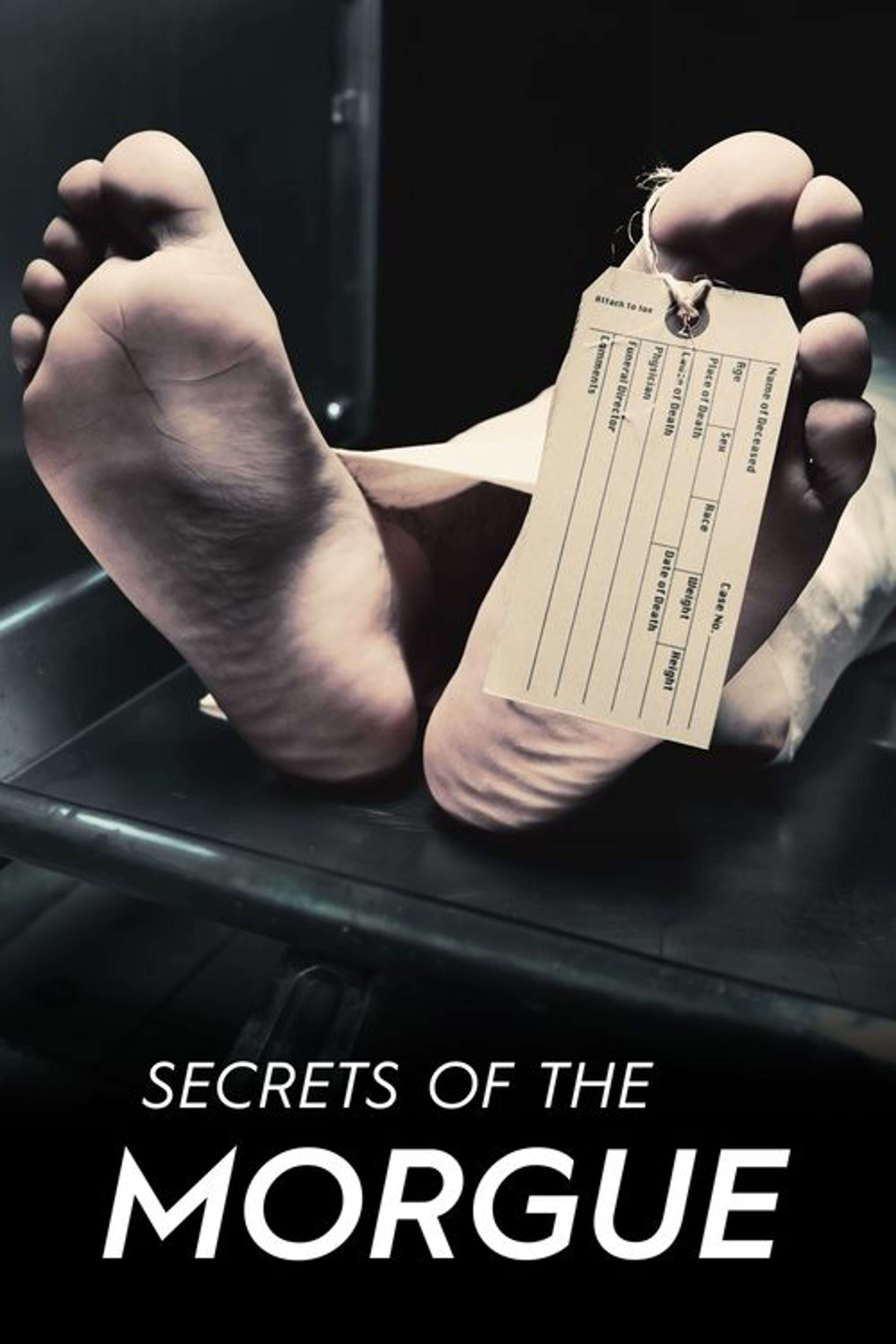 Poster image of Secrets of the Morgue