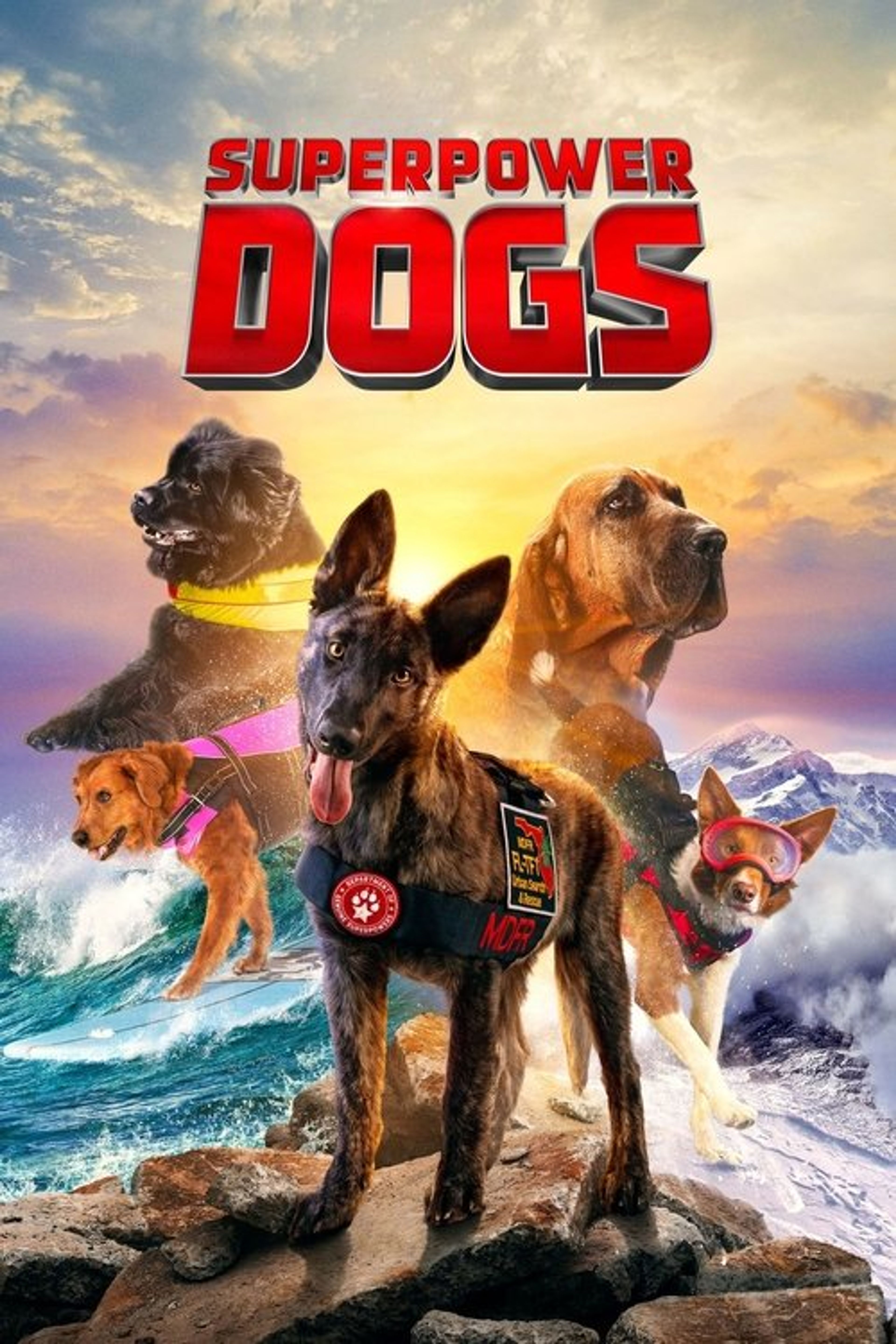 Poster image of Superpower Dogs