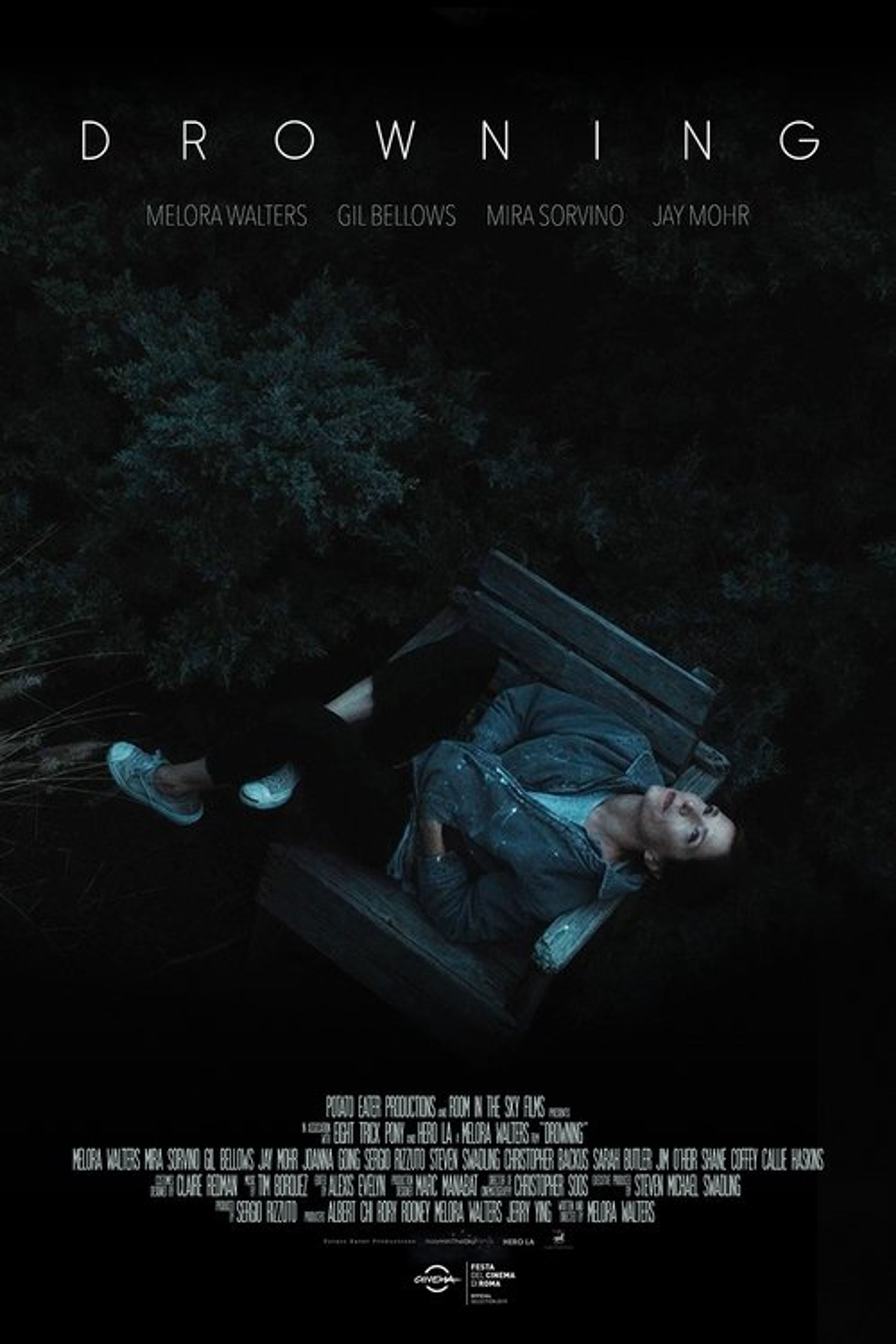Poster image of Drowning
