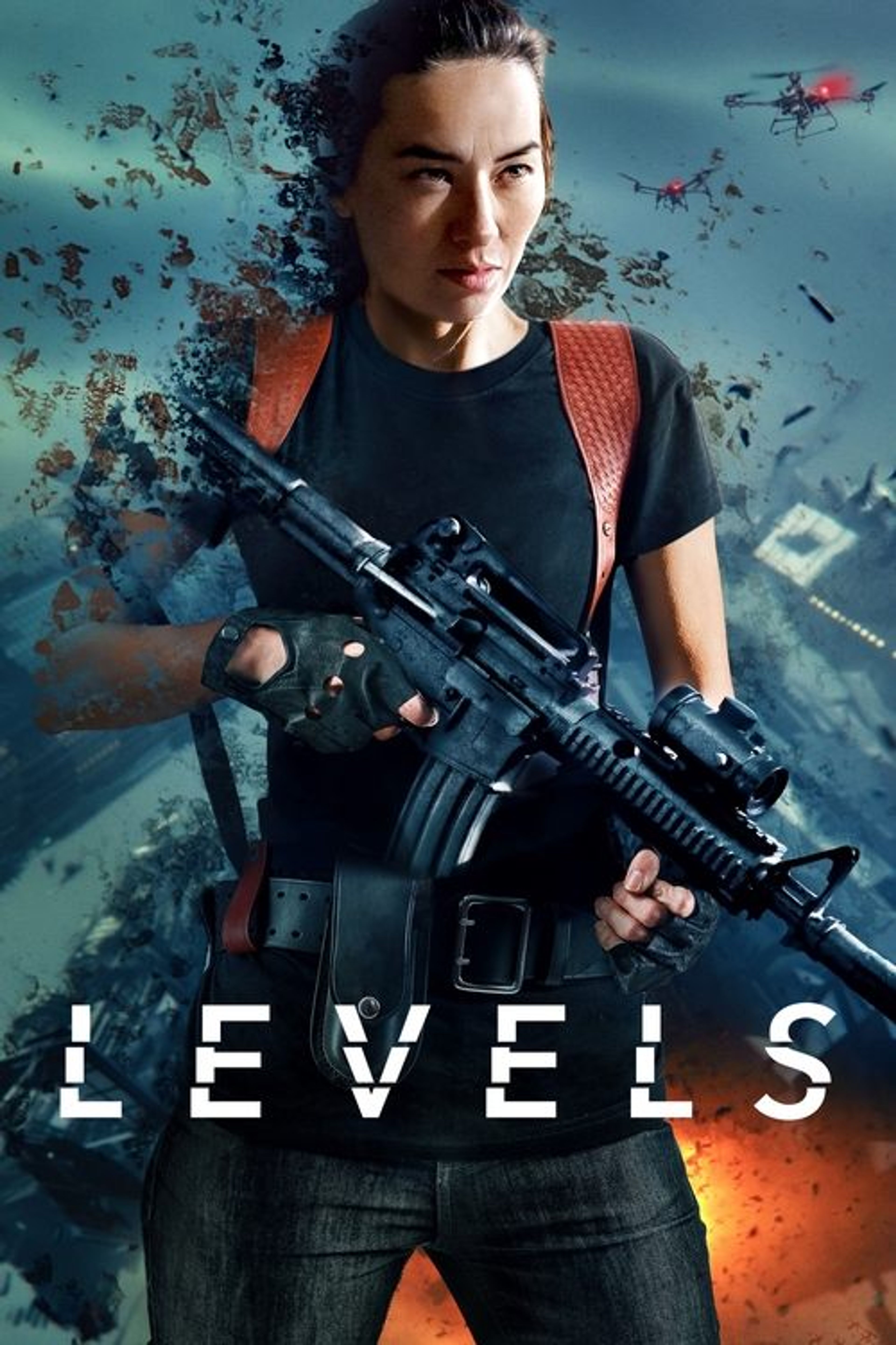 Poster image of Levels