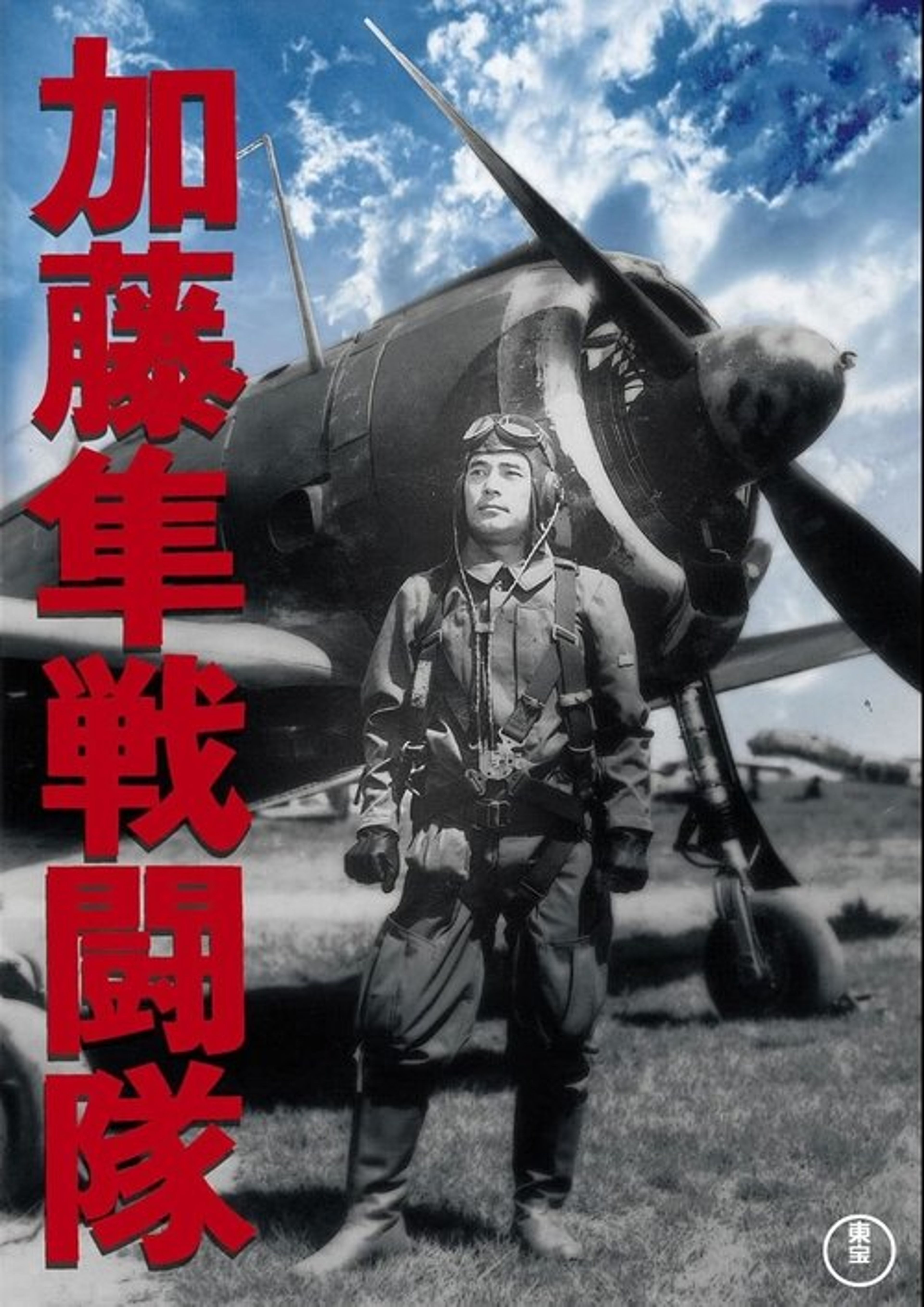 Poster image of Colonel Kato's Falcon Squadron