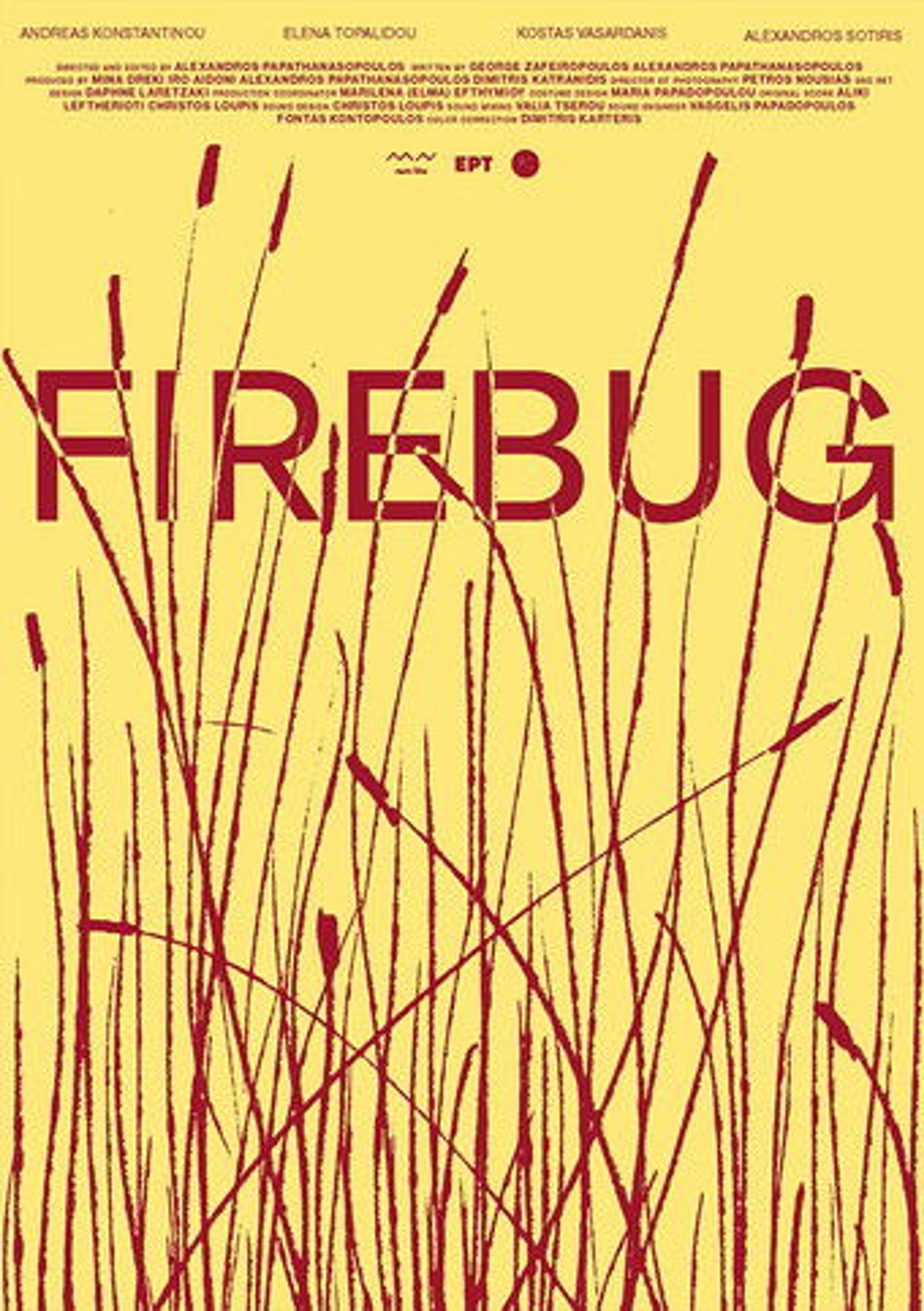 Poster image of Firebug