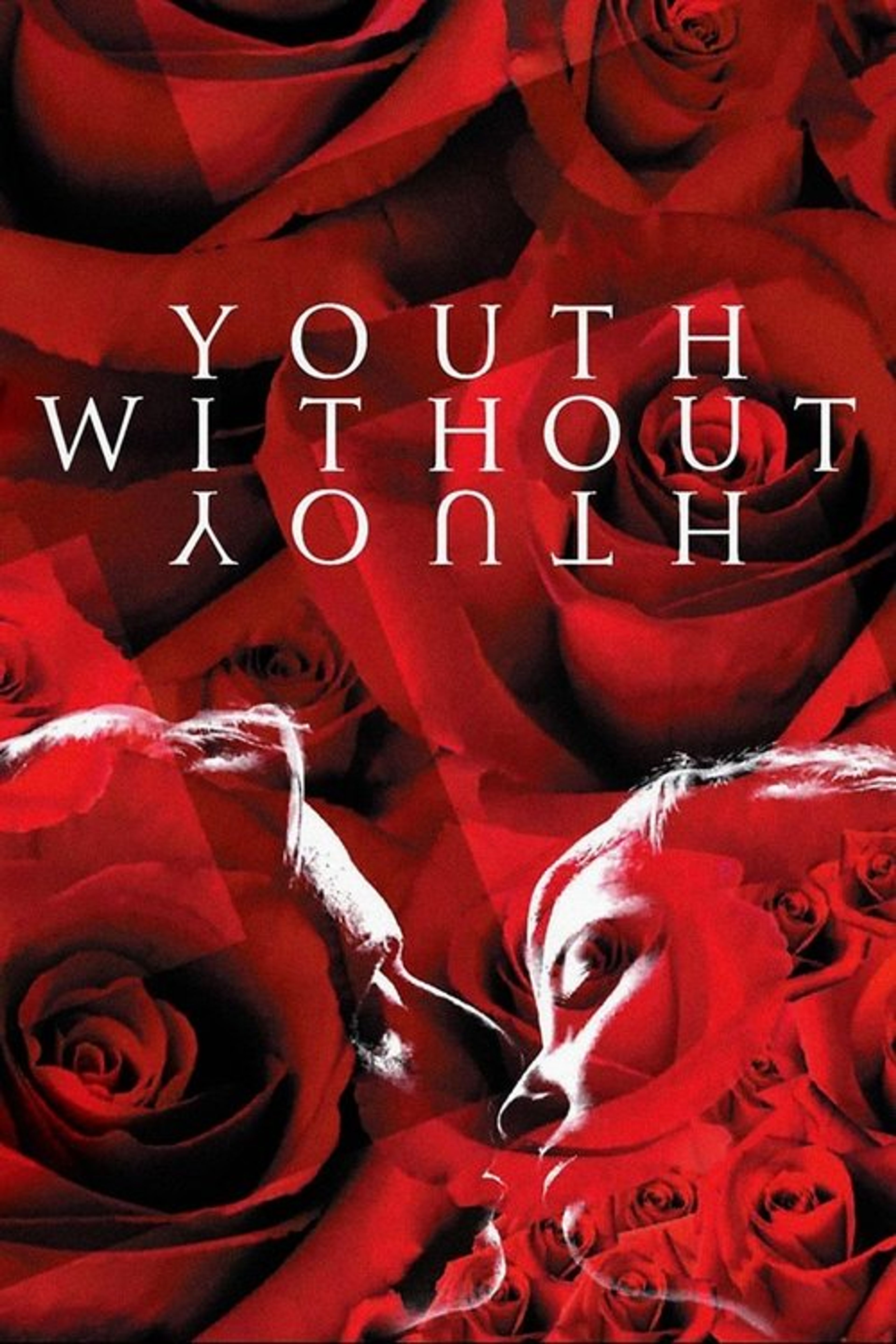 Poster image of Youth Without Youth