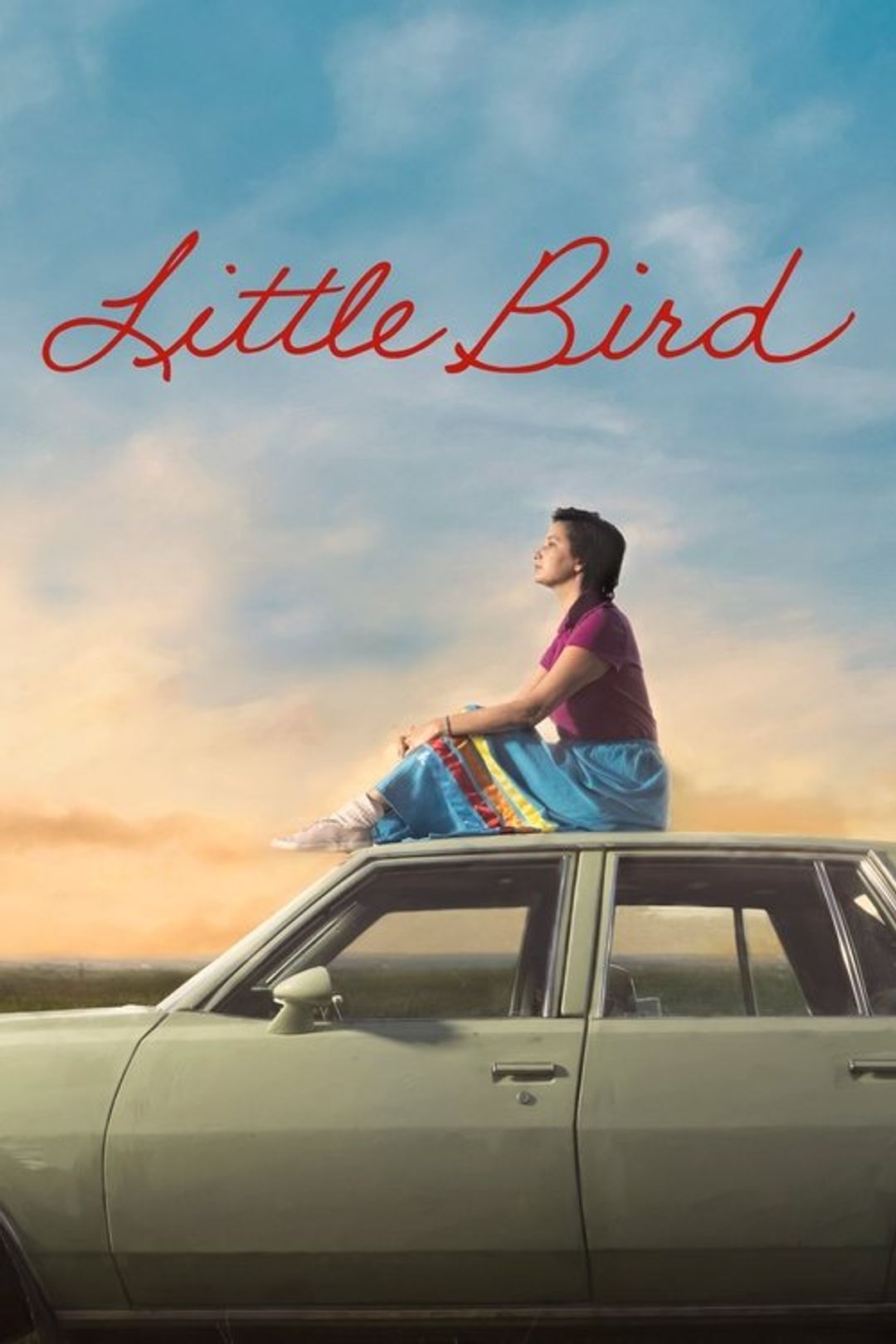 Poster image of Little Bird