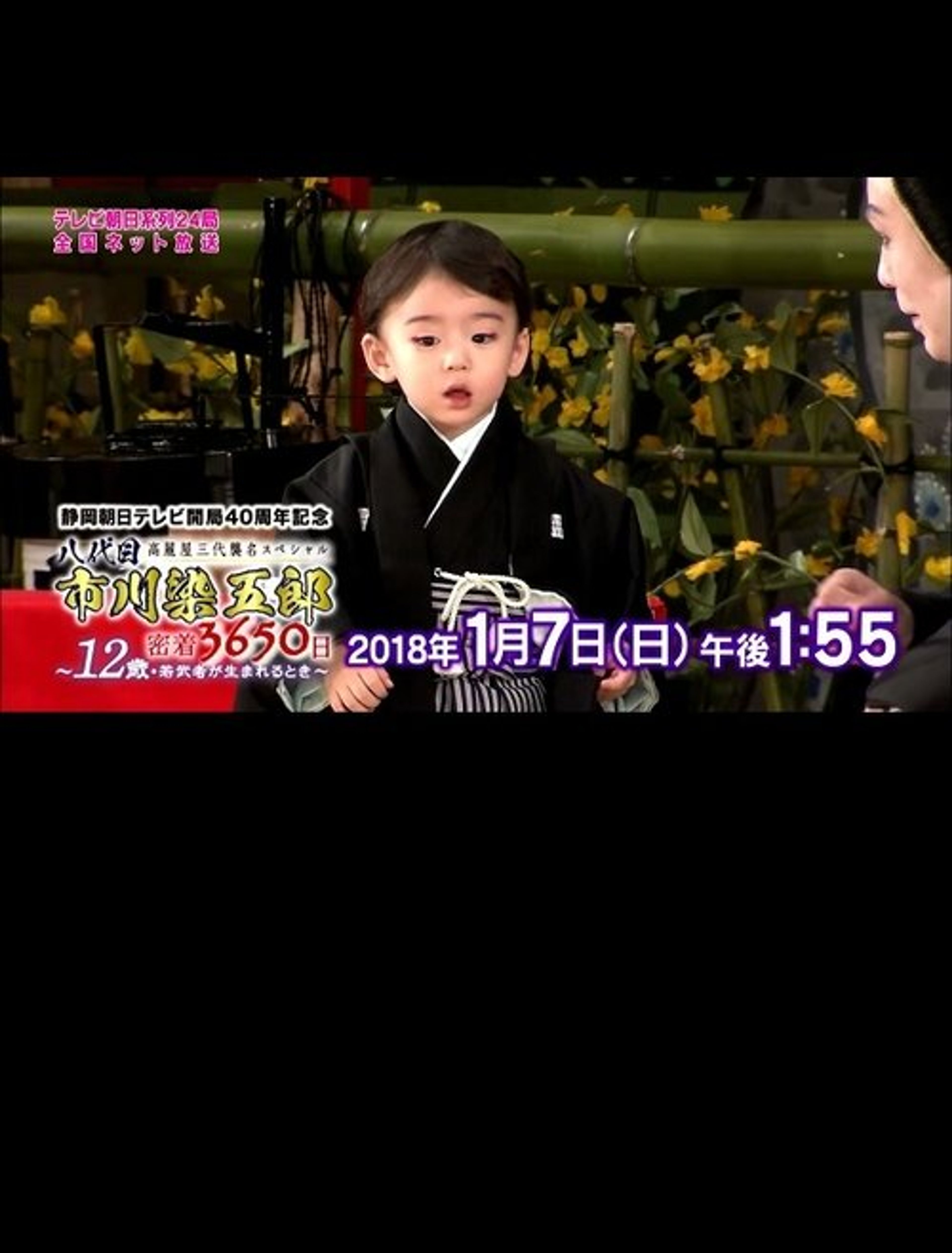 Poster image of 八代目市川染五郎 密着3650日～12歳・若武者が生まれるとき～